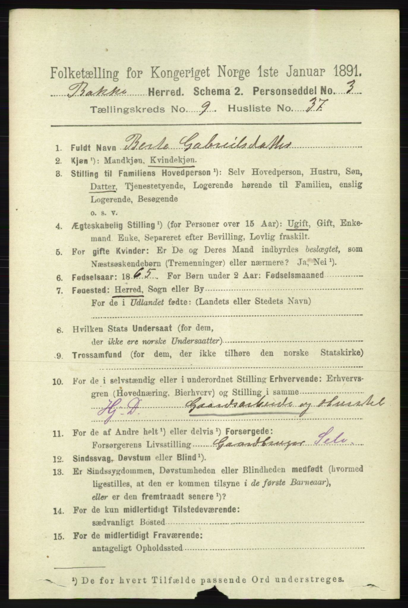 RA, 1891 census for 1045 Bakke, 1891, p. 1956