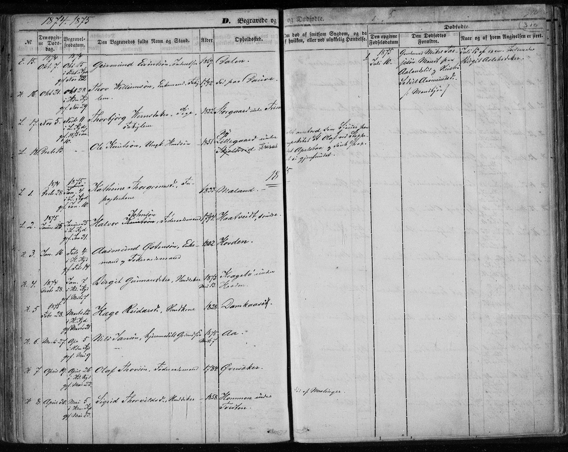 Lårdal kirkebøker, SAKO/A-284/F/Fa/L0006: Parish register (official) no. I 6, 1861-1886, p. 310