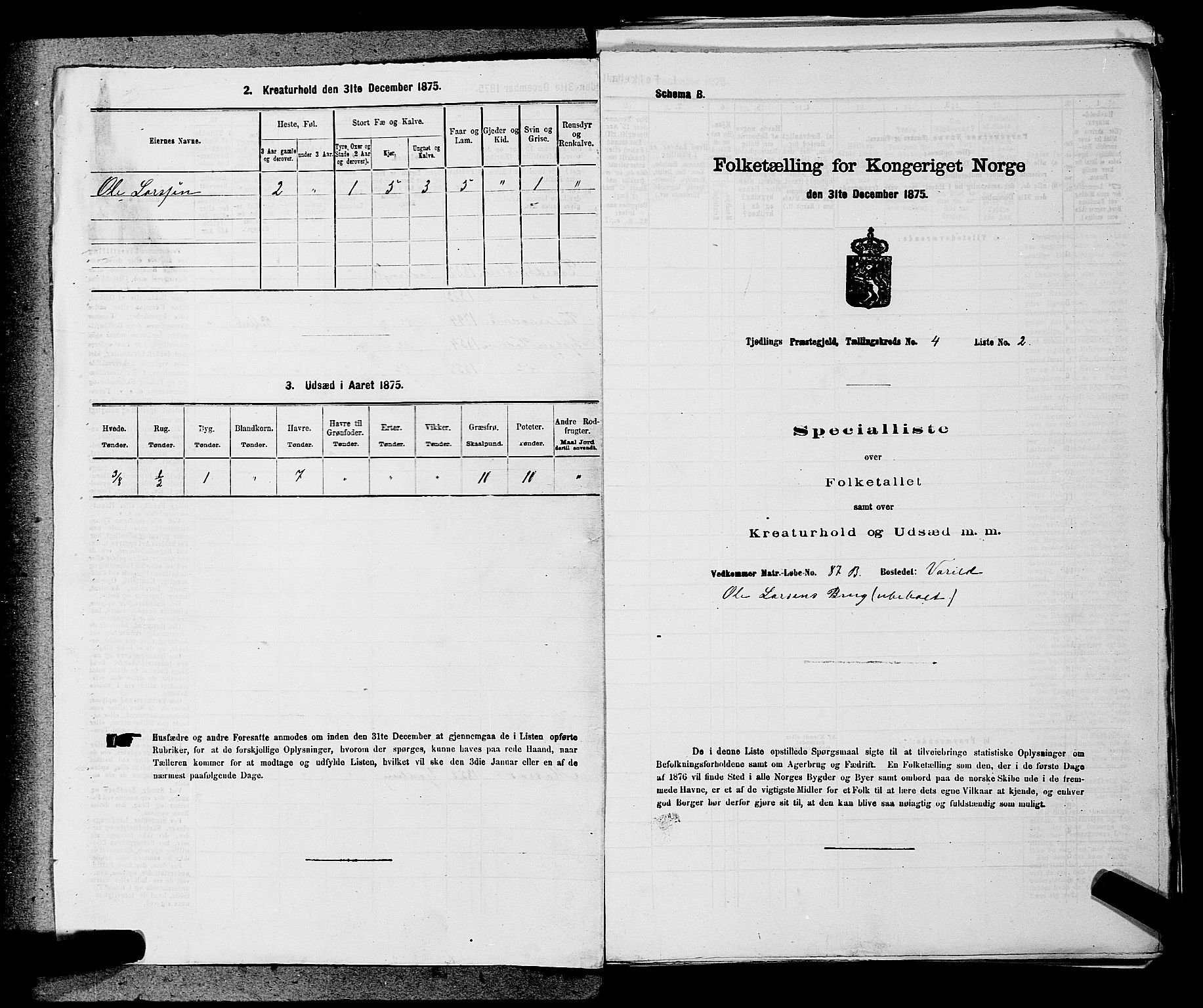 SAKO, 1875 census for 0725P Tjølling, 1875, p. 719