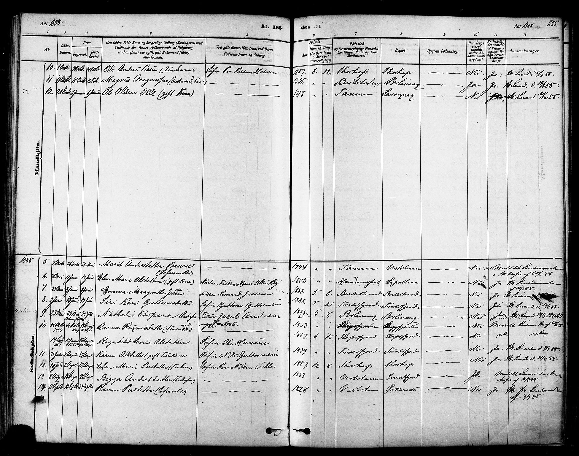 Tana sokneprestkontor, SATØ/S-1334/H/Ha/L0004kirke: Parish register (official) no. 4, 1878-1891, p. 225