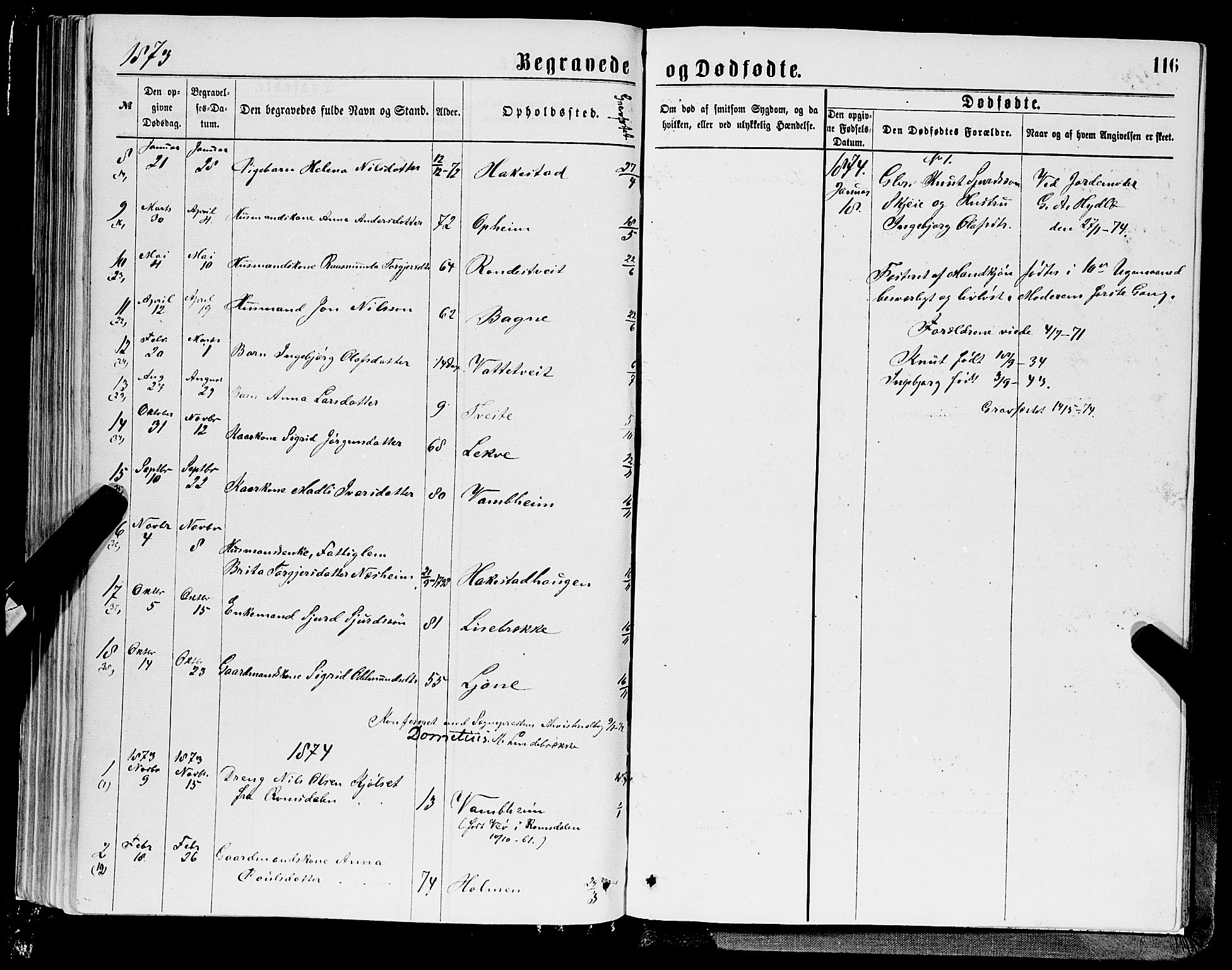 Ulvik sokneprestembete, SAB/A-78801/H/Hab: Parish register (copy) no. A 2, 1869-1882, p. 116