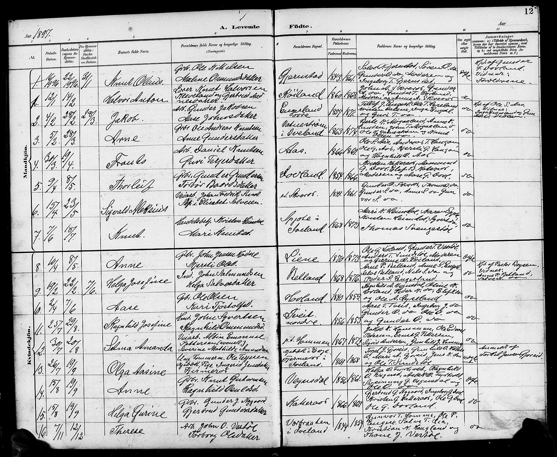 Herefoss sokneprestkontor, AV/SAK-1111-0019/F/Fb/Fbb/L0003: Parish register (copy) no. B 3, 1892-1917, p. 12