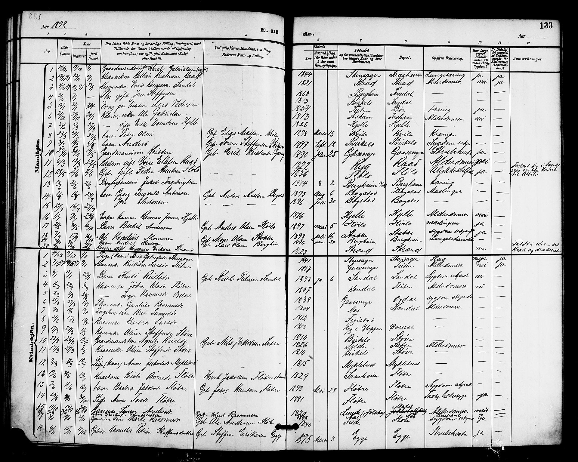 Gloppen sokneprestembete, AV/SAB-A-80101/H/Hab/Habc/L0002: Parish register (copy) no. C 2, 1896-1910, p. 133
