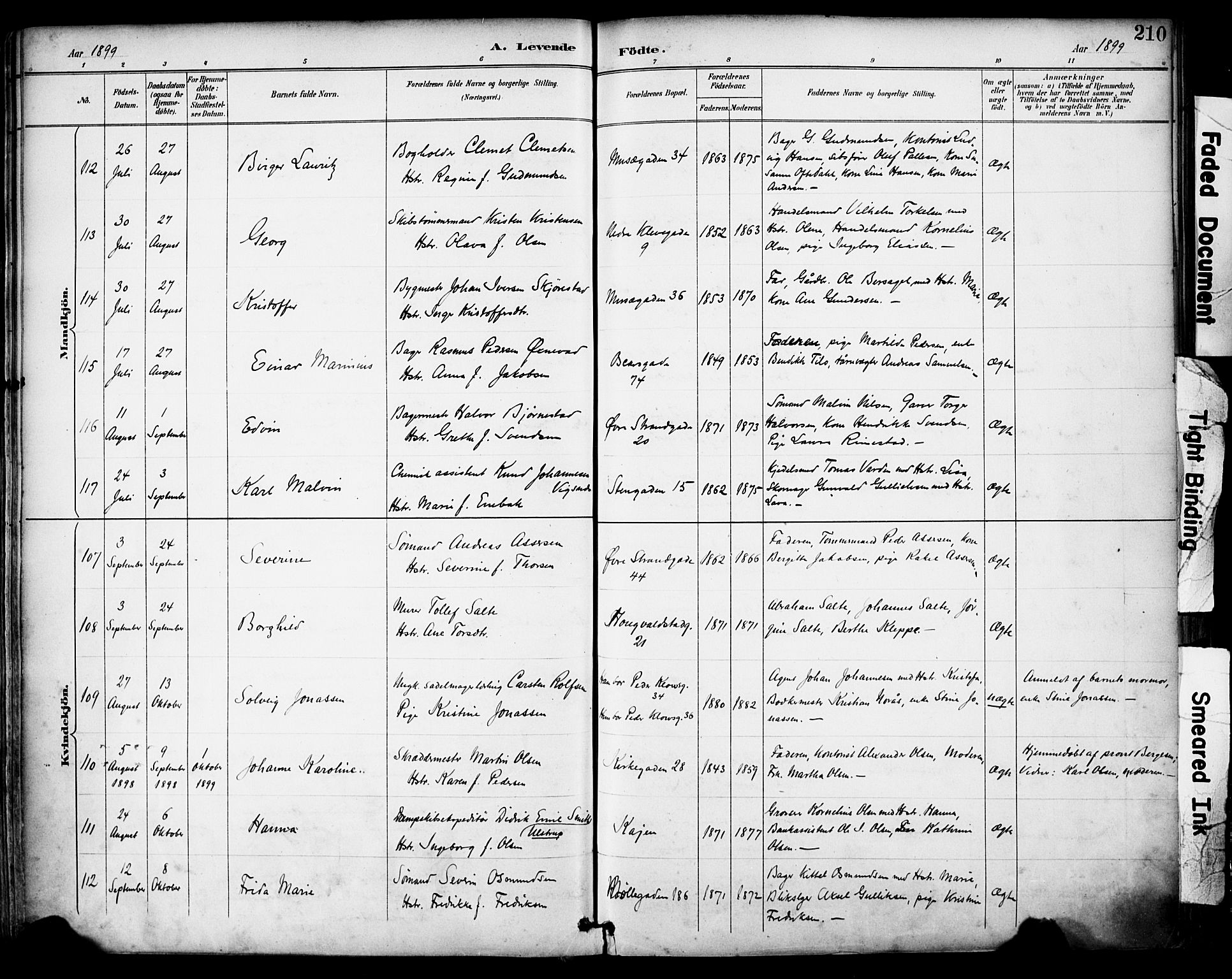 Domkirken sokneprestkontor, SAST/A-101812/001/30/30BA/L0030: Parish register (official) no. A 29, 1889-1902, p. 210