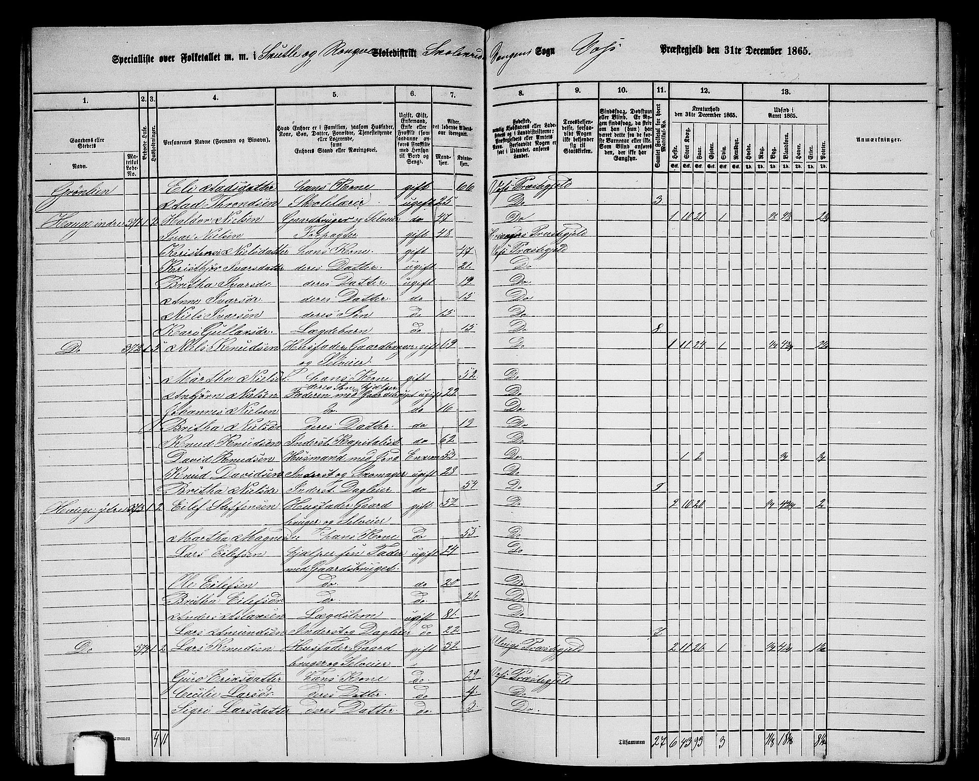 RA, 1865 census for Voss, 1865, p. 170