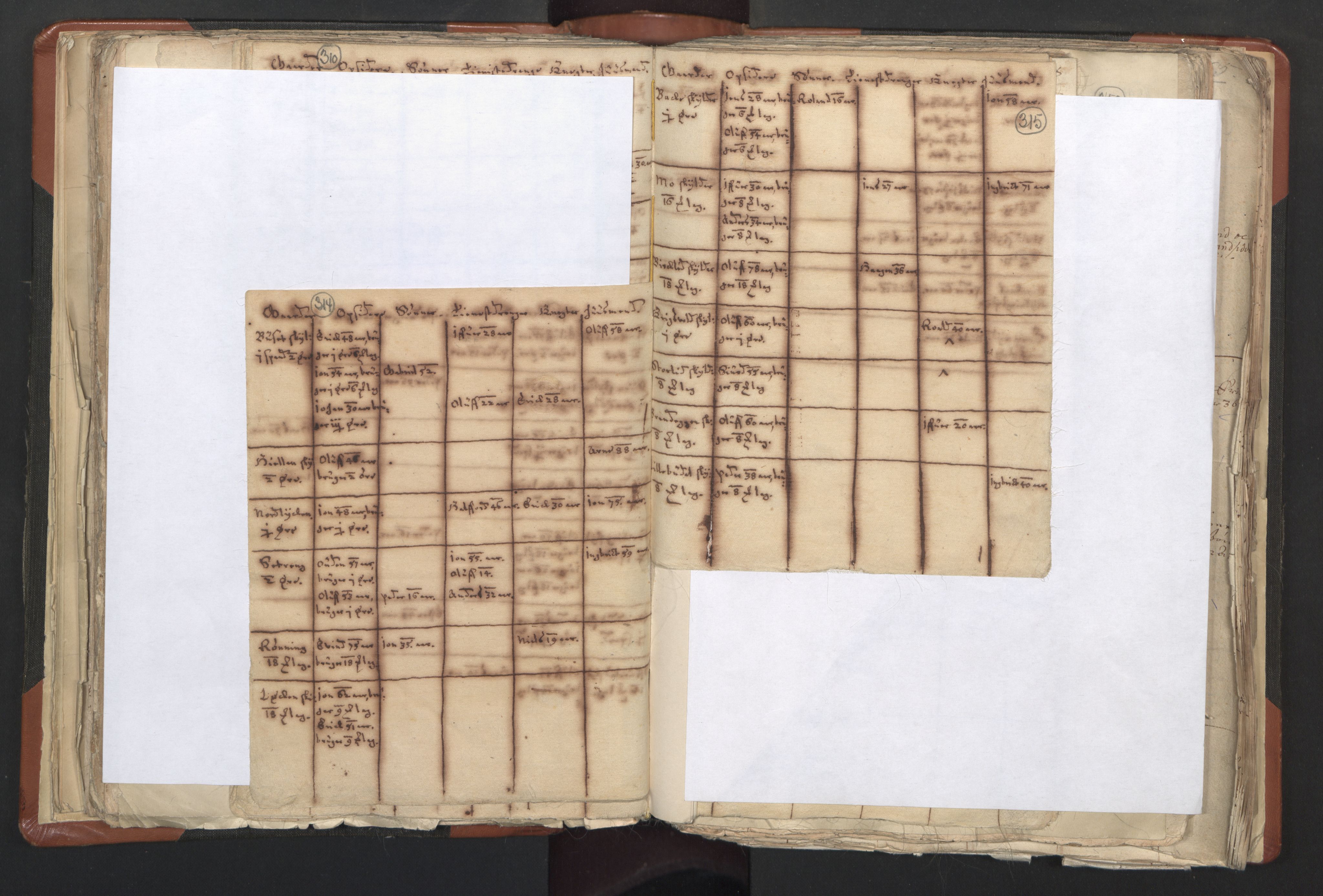 RA, Vicar's Census 1664-1666, no. 31: Dalane deanery, 1664-1666, p. 314-315