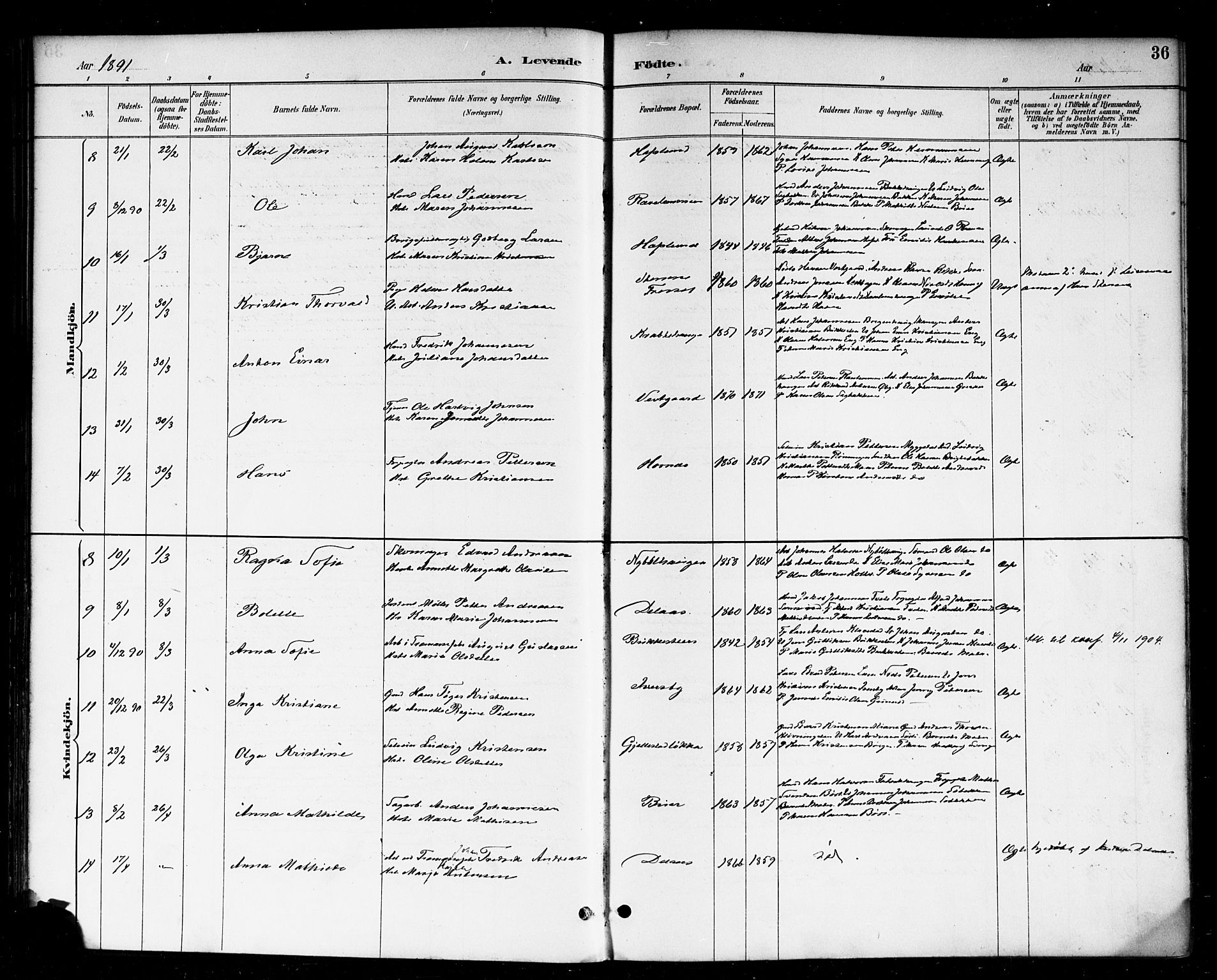 Skjeberg prestekontor Kirkebøker, AV/SAO-A-10923/F/Fa/L0009: Parish register (official) no. I 9, 1886-1897, p. 36