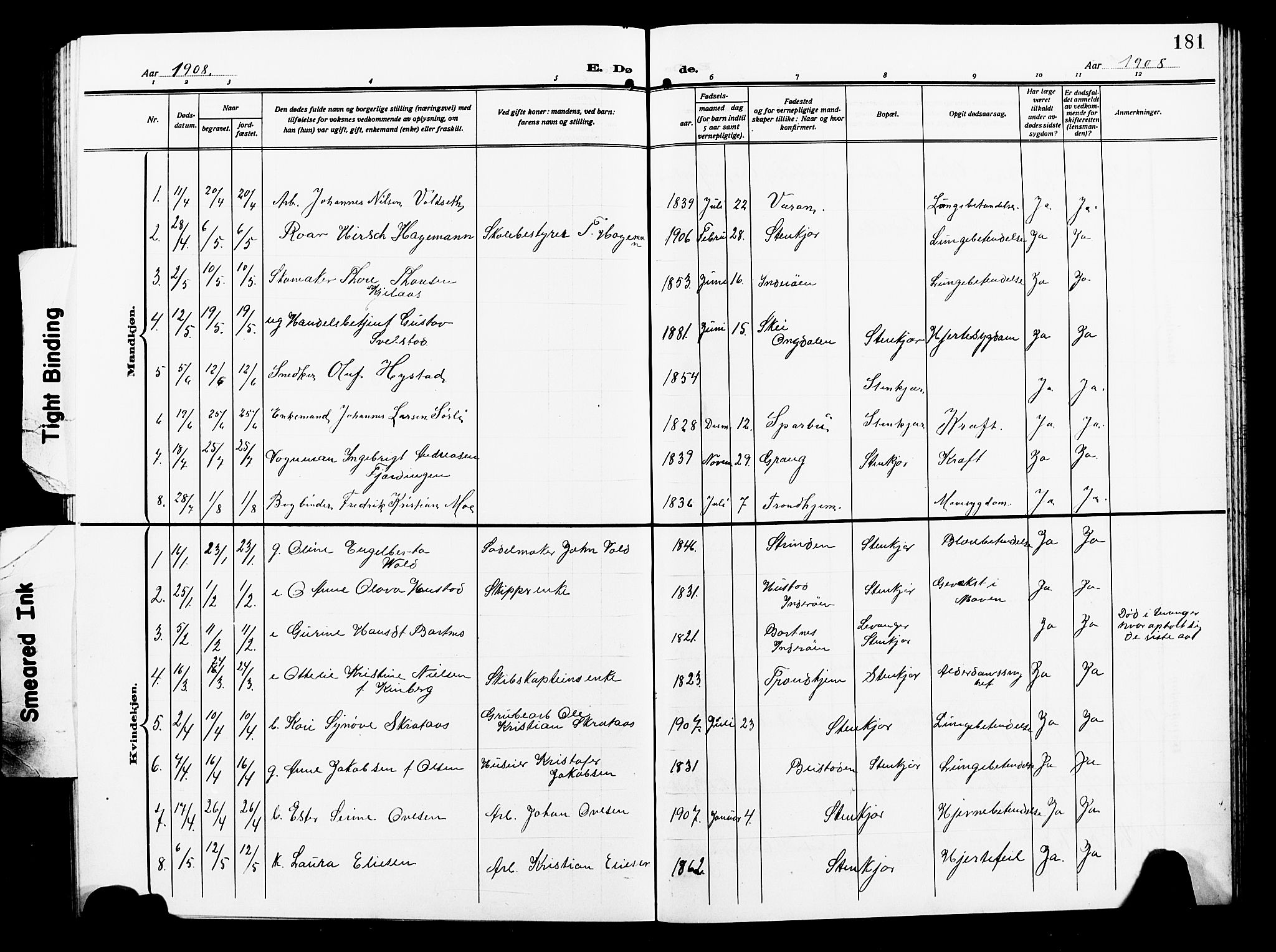 Ministerialprotokoller, klokkerbøker og fødselsregistre - Nord-Trøndelag, SAT/A-1458/739/L0376: Parish register (copy) no. 739C04, 1908-1917, p. 181
