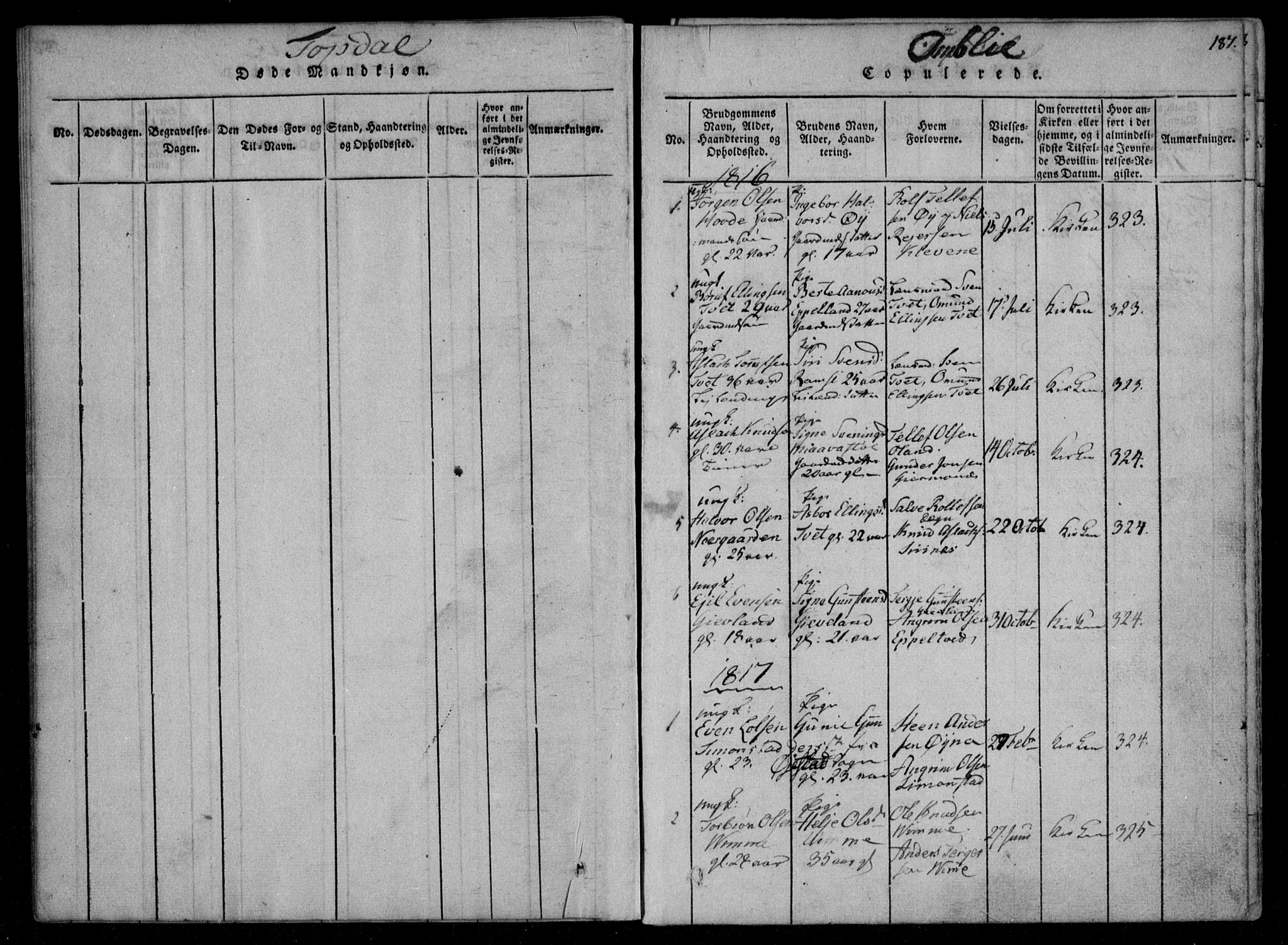 Åmli sokneprestkontor, SAK/1111-0050/F/Fa/Fac/L0006: Parish register (official) no. A 6, 1816-1829, p. 187
