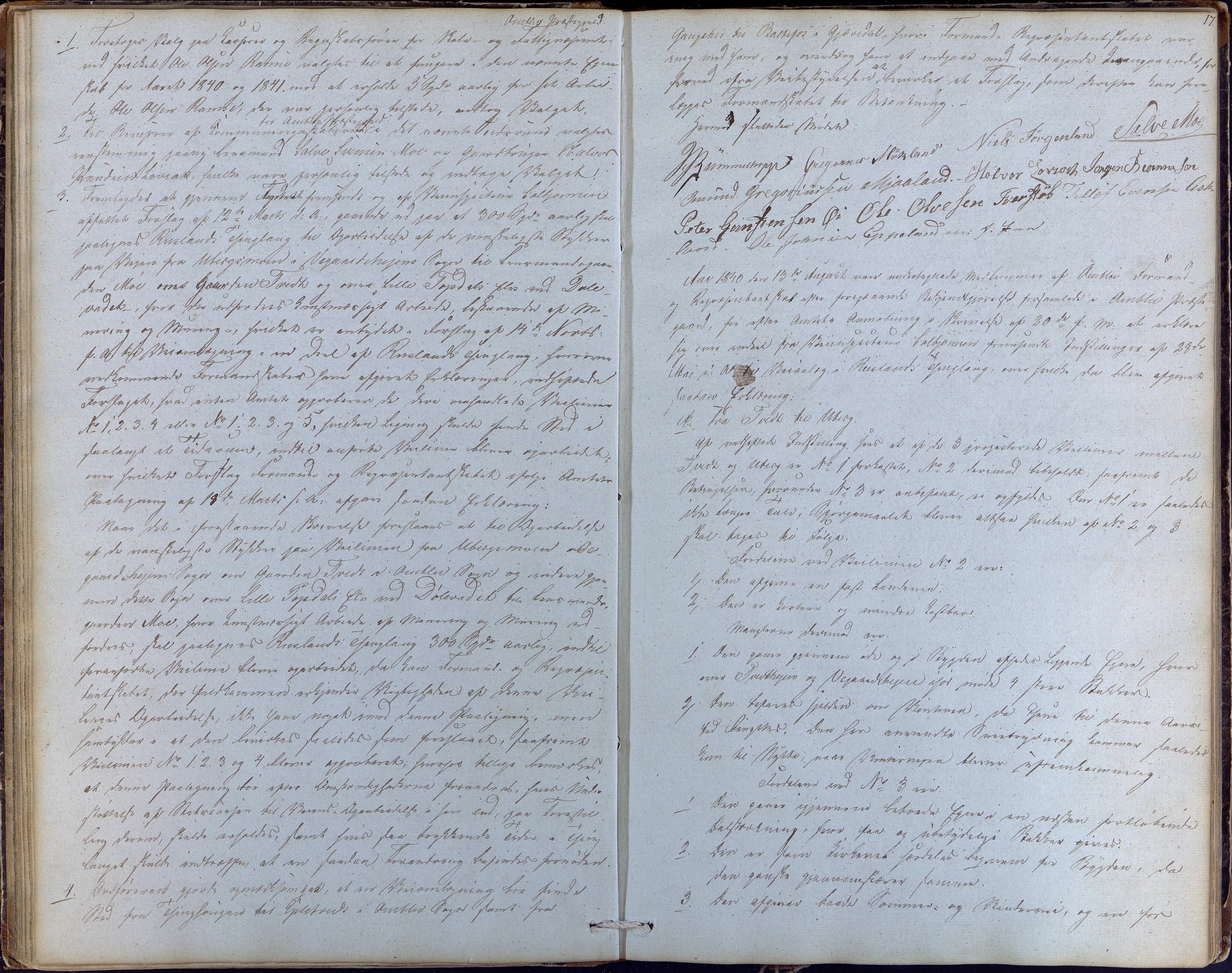 Åmli kommune før 1985, AAKS/KA0929-PK/01/01a/L0001: Møtebok, 1837-1854, p. 17