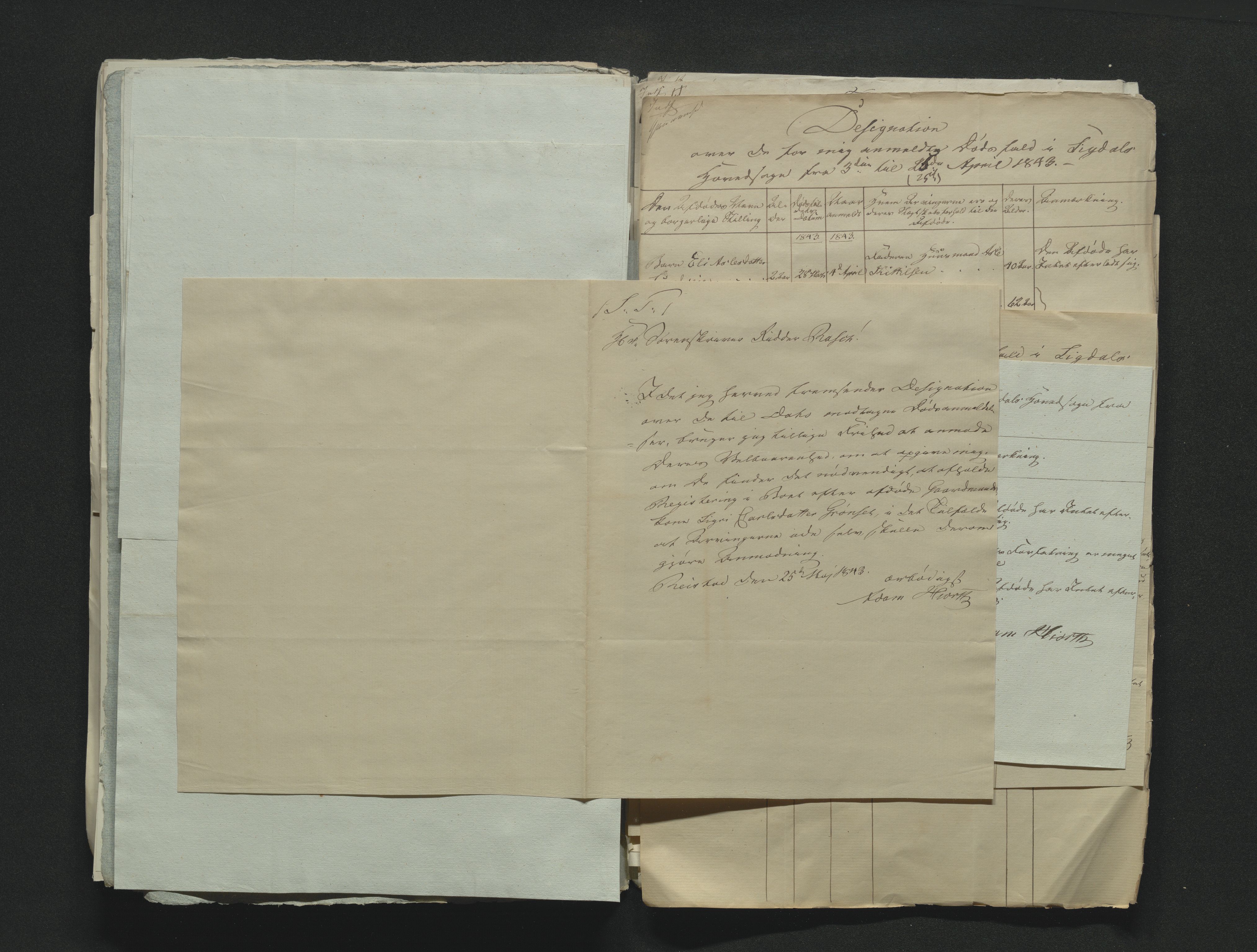 Eiker, Modum og Sigdal sorenskriveri, AV/SAKO-A-123/H/Ha/Hab/L0006: Dødsfallsmeldinger, 1841-1845