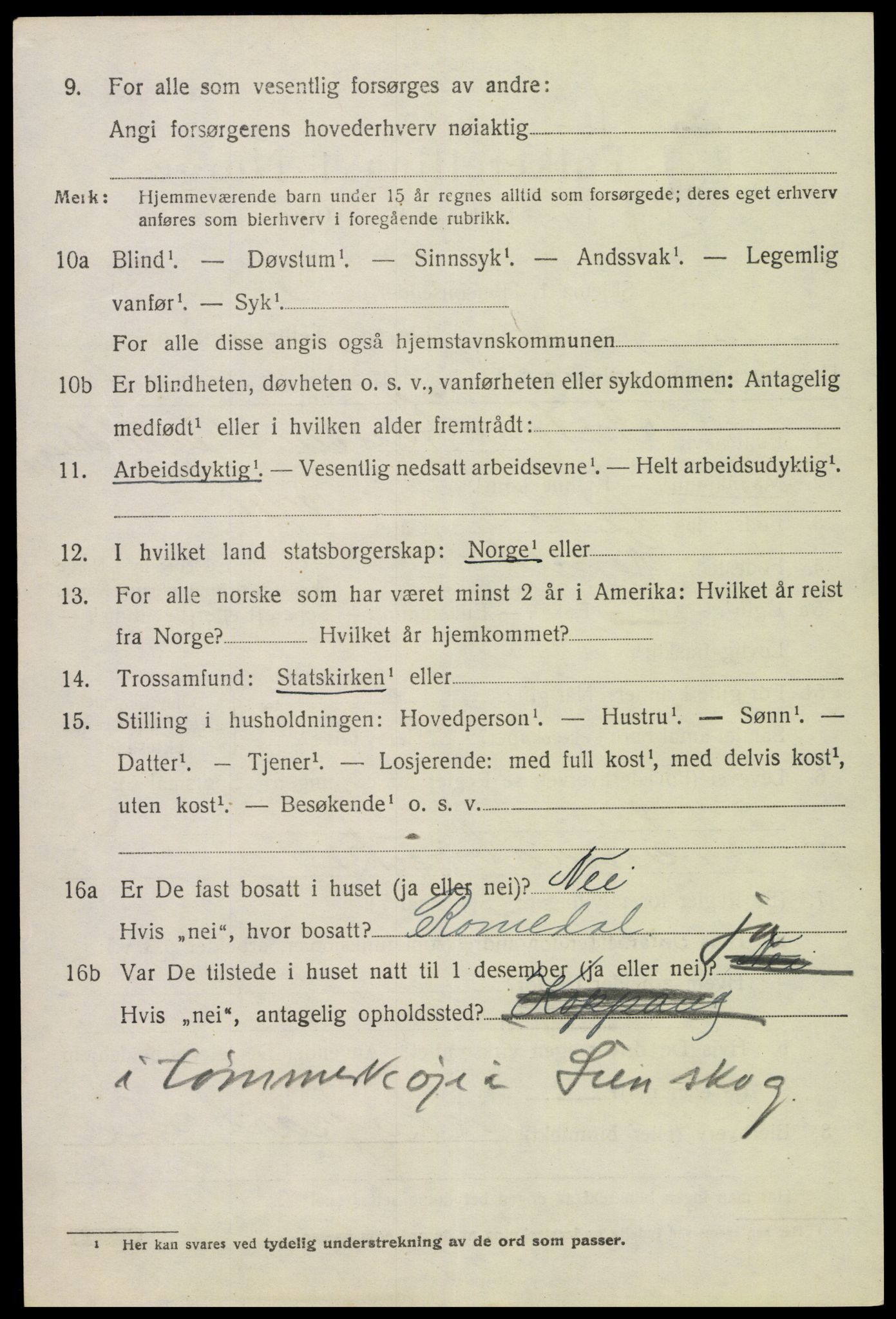 SAH, 1920 census for Ytre Rendal, 1920, p. 3912