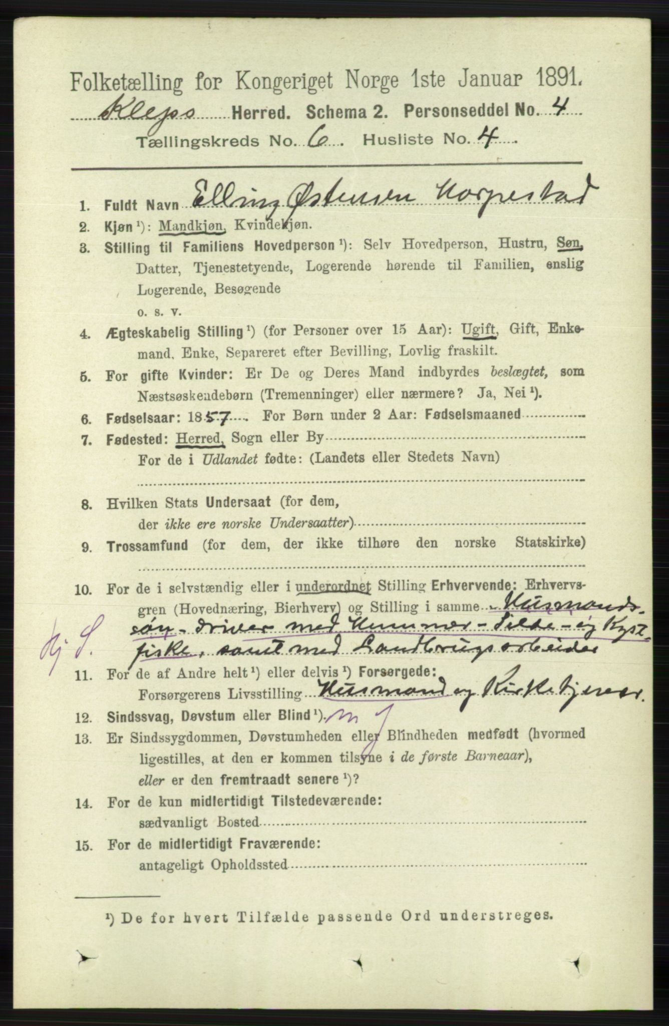 RA, 1891 census for 1120 Klepp, 1891, p. 1743