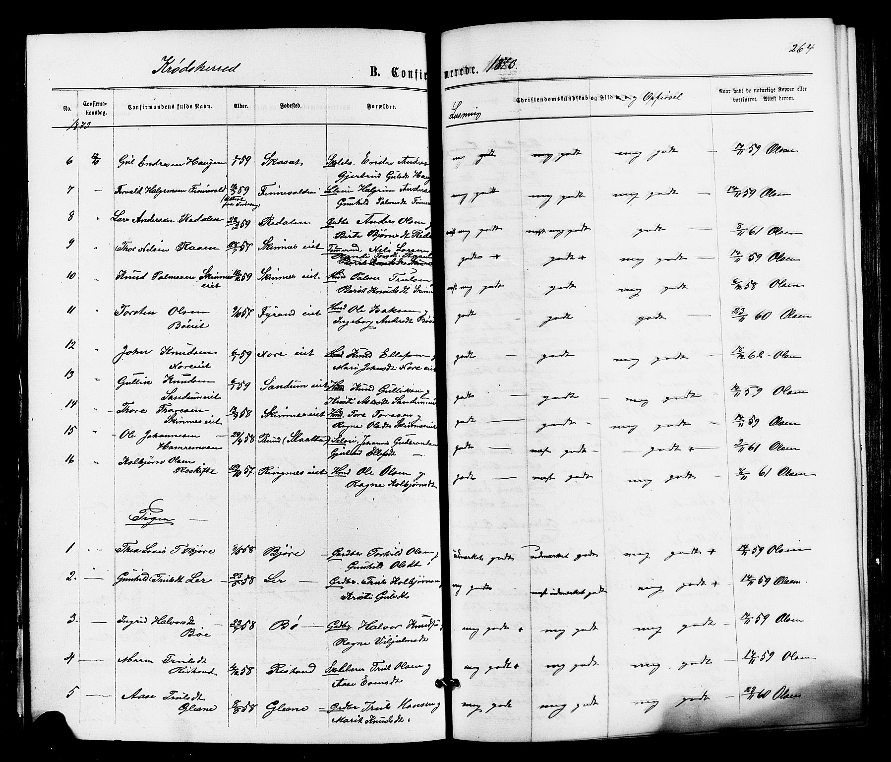 Sigdal kirkebøker, AV/SAKO-A-245/F/Fa/L0010: Parish register (official) no. I 10 /2, 1872-1878, p. 264