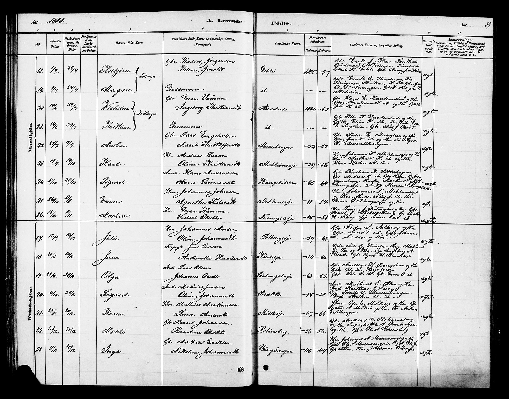 Ringsaker prestekontor, AV/SAH-PREST-014/K/Ka/L0013: Parish register (official) no. 13, 1879-1890, p. 39