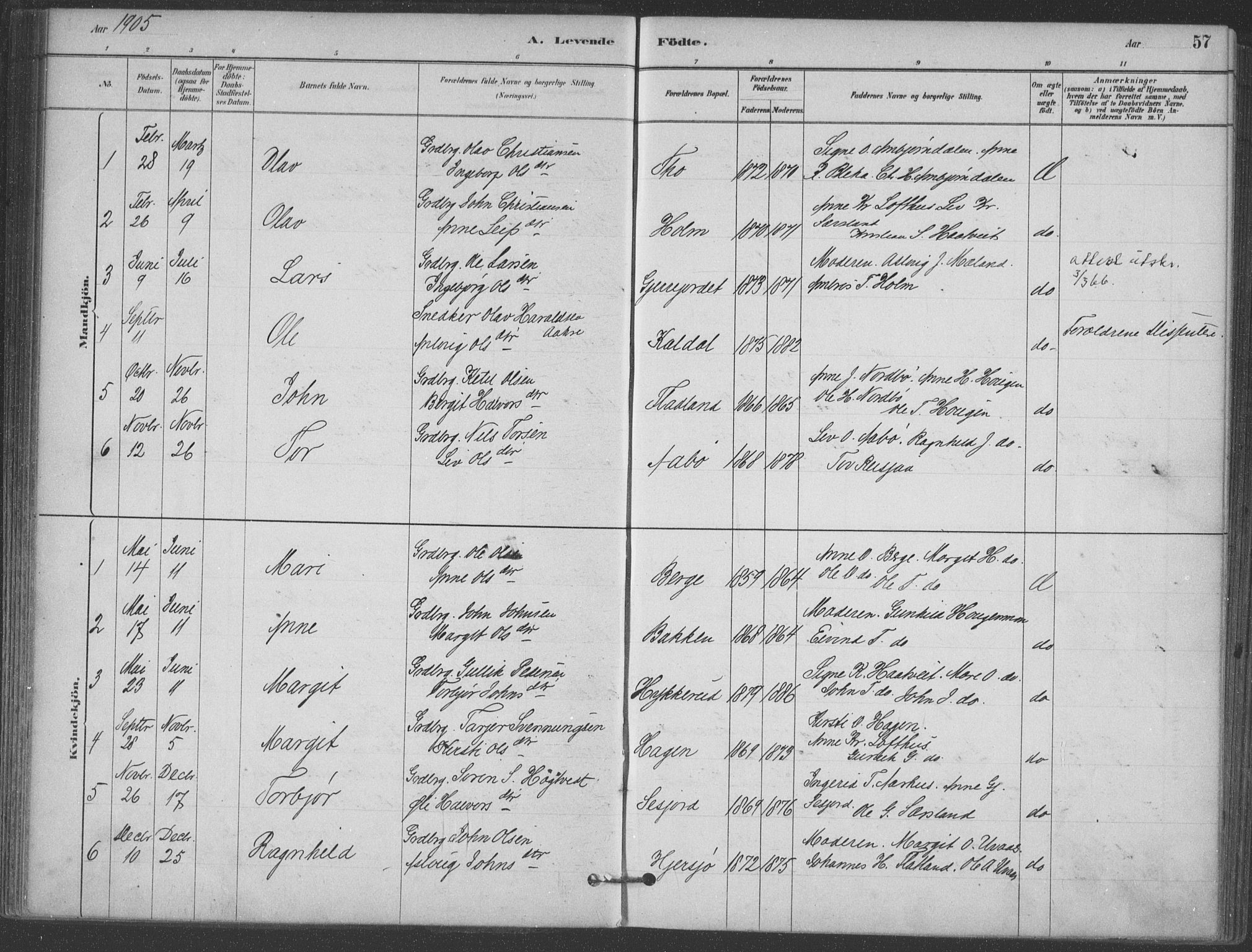 Hjartdal kirkebøker, SAKO/A-270/F/Fa/L0010: Parish register (official) no. I 10, 1880-1929, p. 57