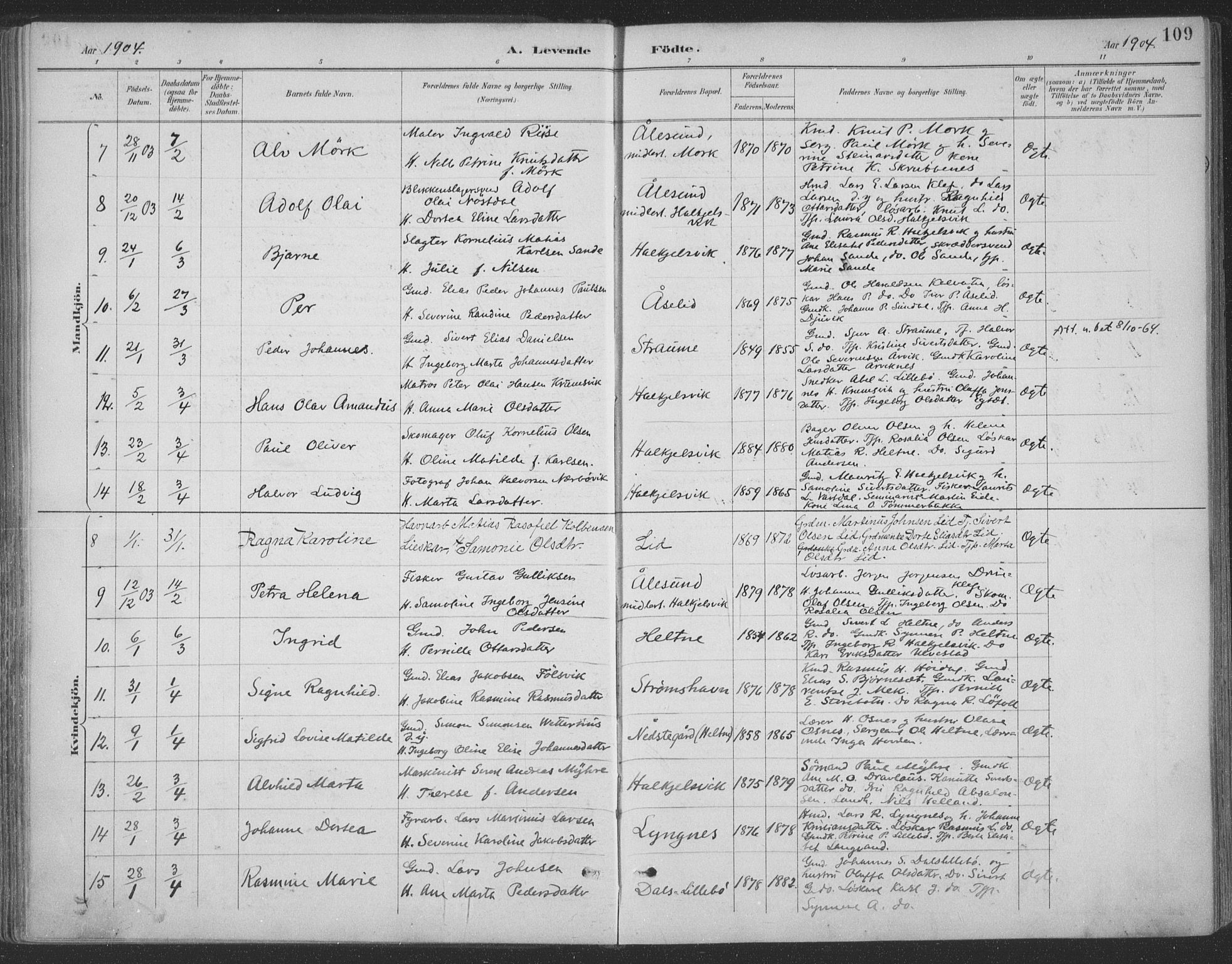 Ministerialprotokoller, klokkerbøker og fødselsregistre - Møre og Romsdal, AV/SAT-A-1454/511/L0142: Parish register (official) no. 511A09, 1891-1905, p. 109