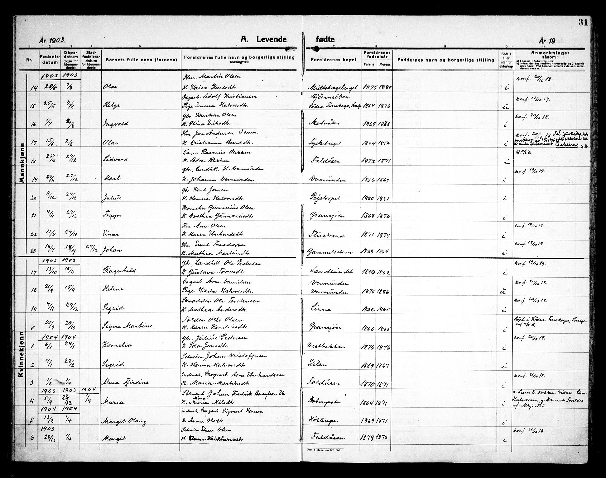 Åsnes prestekontor, AV/SAH-PREST-042/H/Ha/Haa/L0000E: Parish register (official) no. 0C, 1890-1929, p. 31