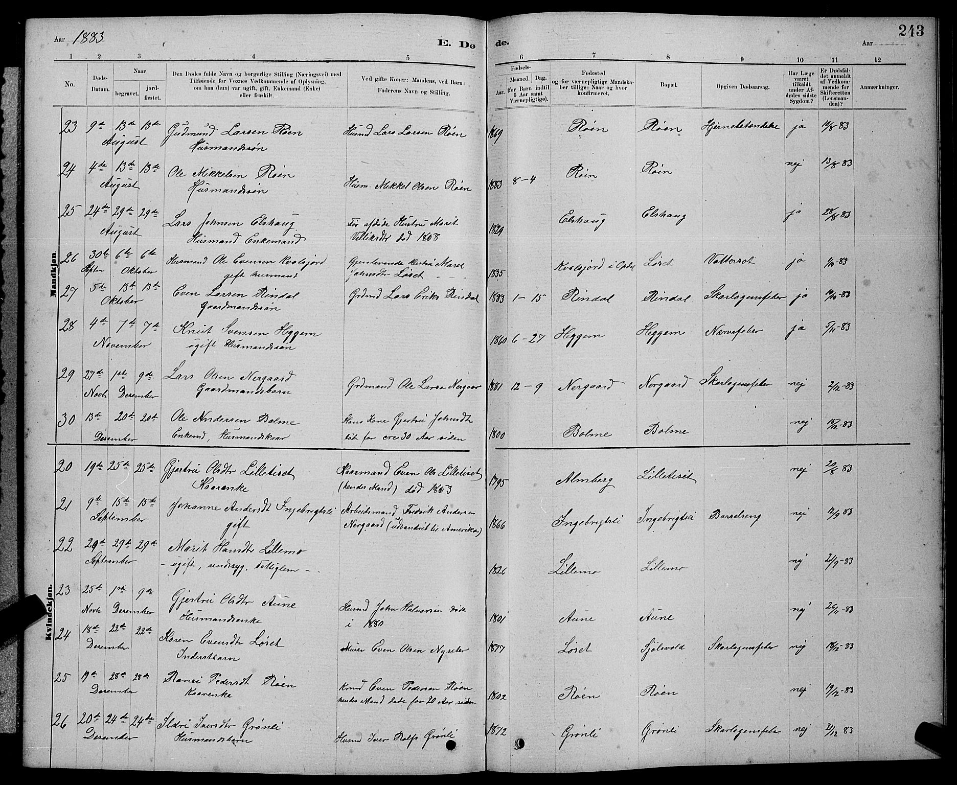 Ministerialprotokoller, klokkerbøker og fødselsregistre - Møre og Romsdal, AV/SAT-A-1454/598/L1077: Parish register (copy) no. 598C02, 1879-1891, p. 243