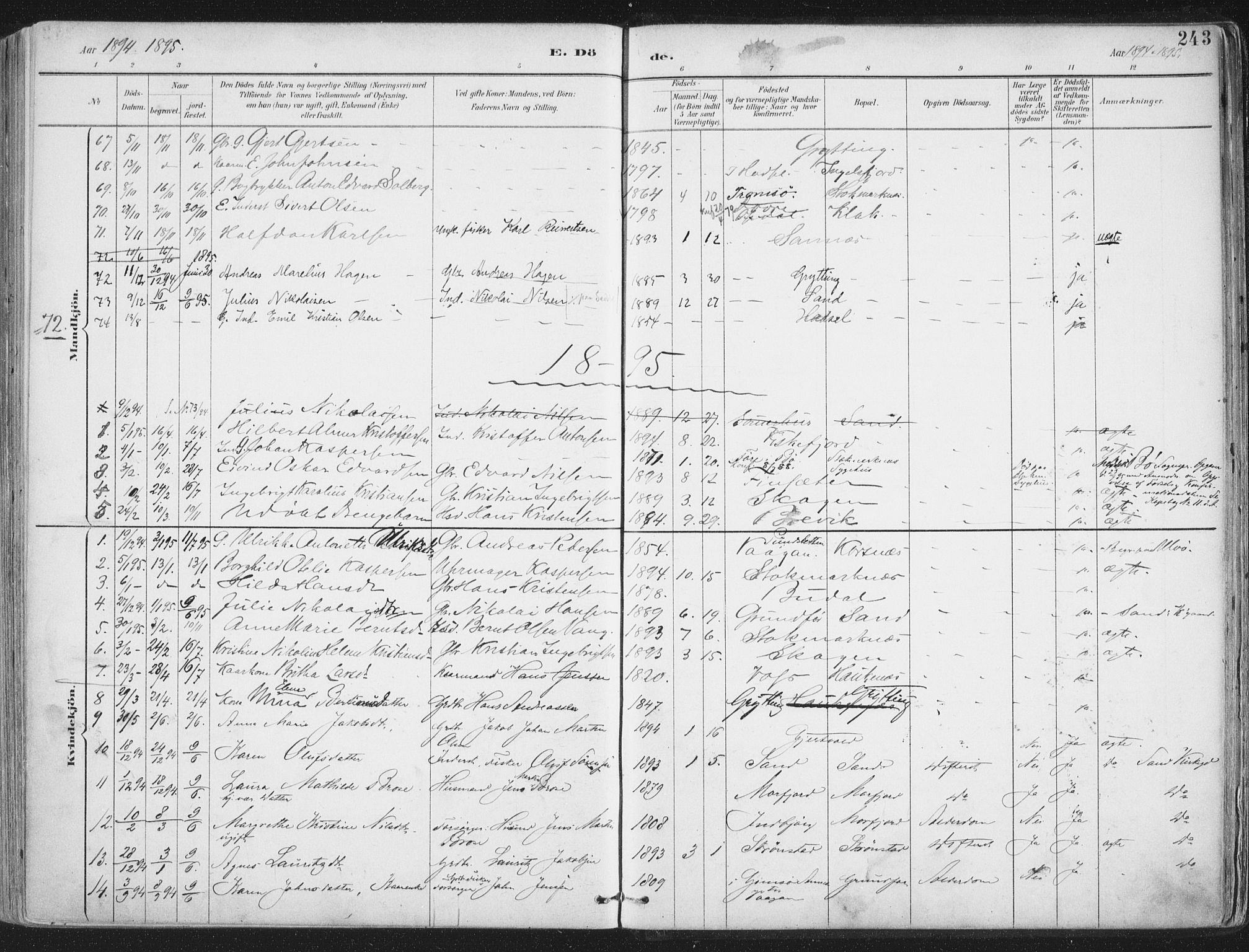Ministerialprotokoller, klokkerbøker og fødselsregistre - Nordland, SAT/A-1459/888/L1246: Parish register (official) no. 888A12, 1891-1903, p. 243