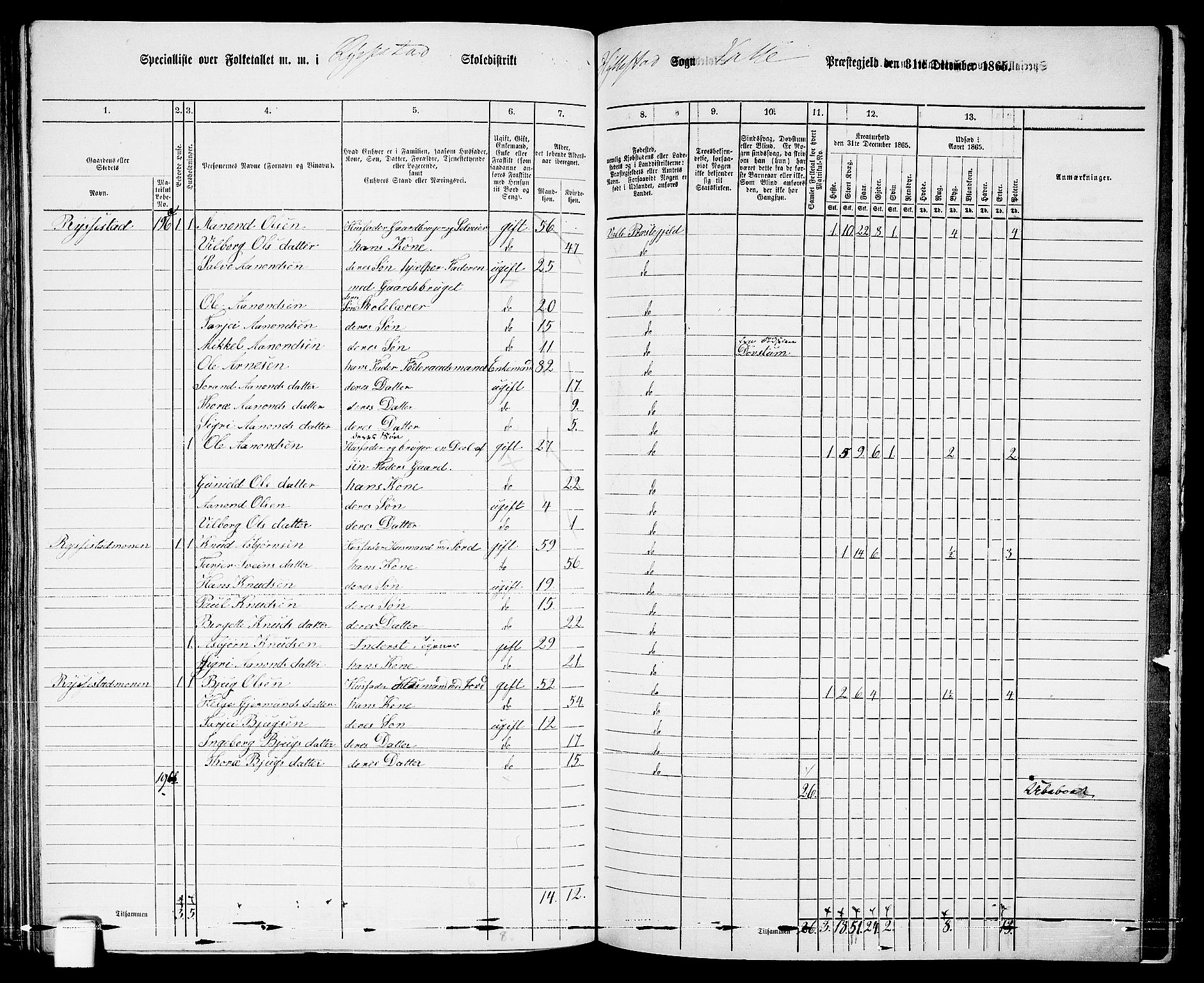 RA, 1865 census for Valle, 1865, p. 125