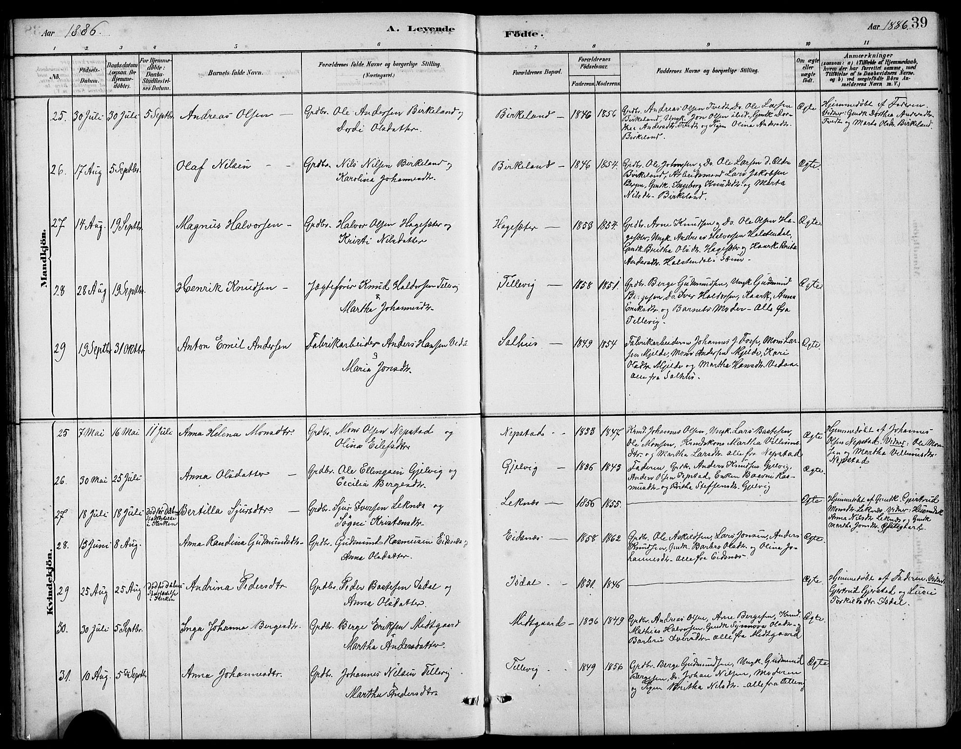 Hamre sokneprestembete, AV/SAB-A-75501/H/Ha/Hab: Parish register (copy) no. B 3, 1881-1898, p. 39