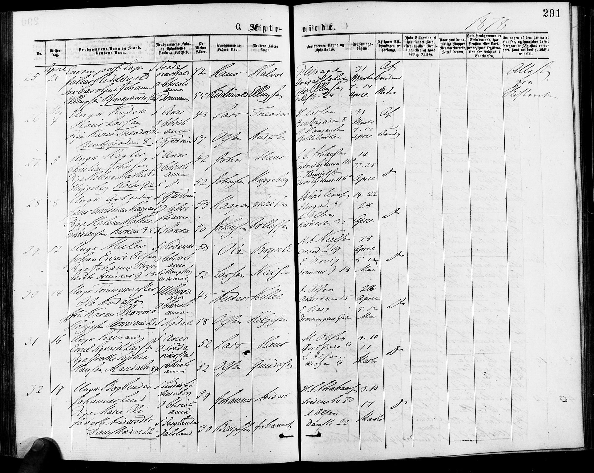 Gamle Aker prestekontor Kirkebøker, AV/SAO-A-10617a/F/L0005: Parish register (official) no. 5, 1873-1881, p. 291