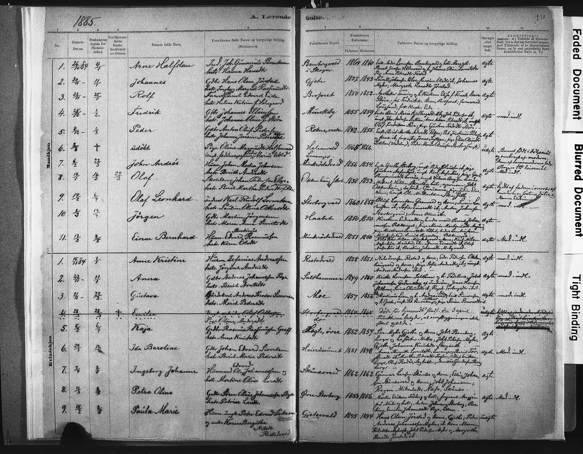 Ministerialprotokoller, klokkerbøker og fødselsregistre - Nord-Trøndelag, SAT/A-1458/721/L0207: Parish register (official) no. 721A02, 1880-1911, p. 19