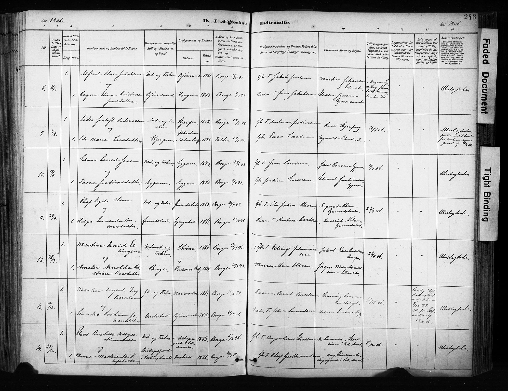 Ministerialprotokoller, klokkerbøker og fødselsregistre - Nordland, AV/SAT-A-1459/880/L1134: Parish register (official) no. 880A08, 1899-1908, p. 243