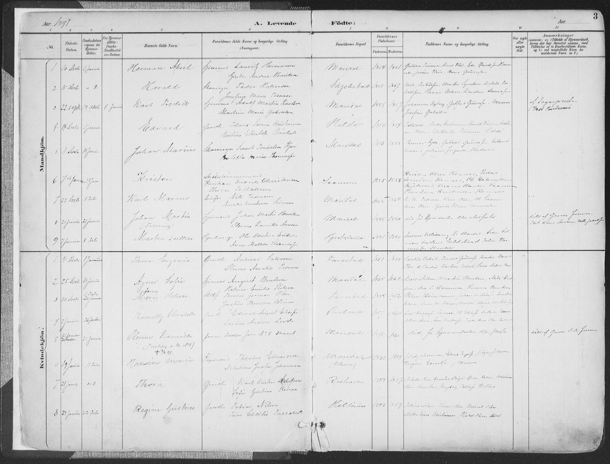 Mandal sokneprestkontor, SAK/1111-0030/F/Fa/Faa/L0018: Parish register (official) no. A 18, 1890-1905, p. 3