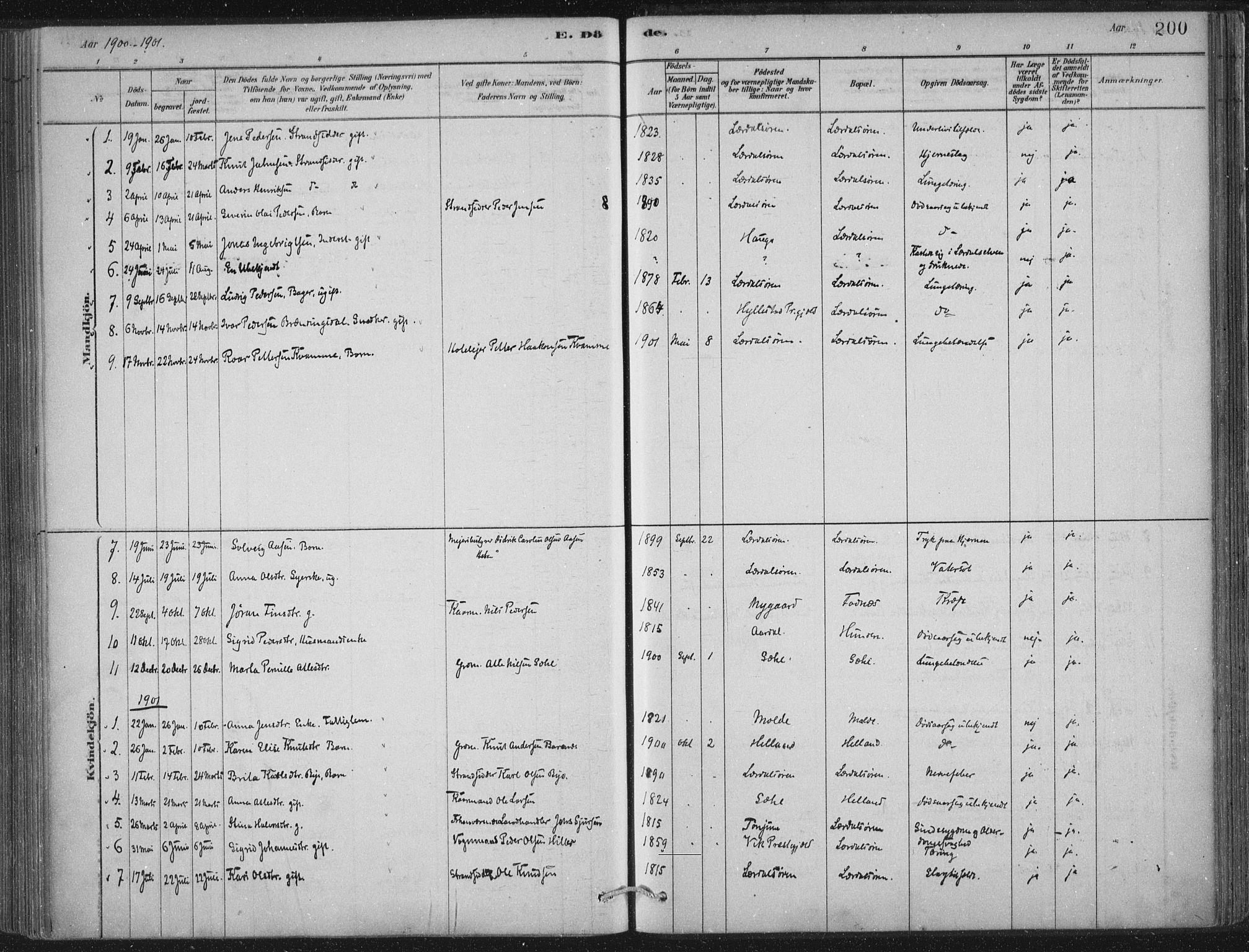 Lærdal sokneprestembete, AV/SAB-A-81201: Parish register (official) no. D  1, 1878-1908, p. 200