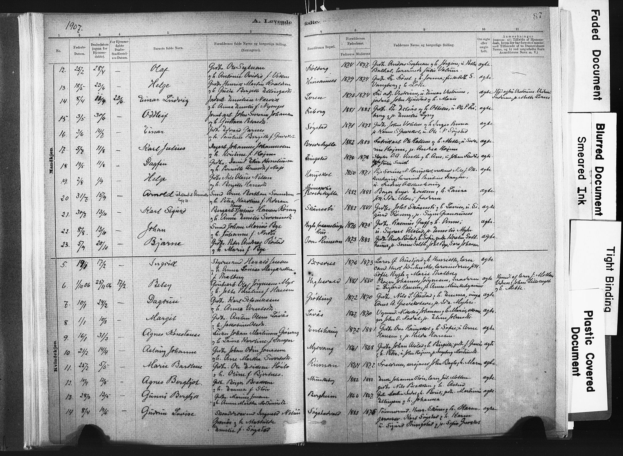 Ministerialprotokoller, klokkerbøker og fødselsregistre - Nord-Trøndelag, SAT/A-1458/721/L0207: Parish register (official) no. 721A02, 1880-1911, p. 87