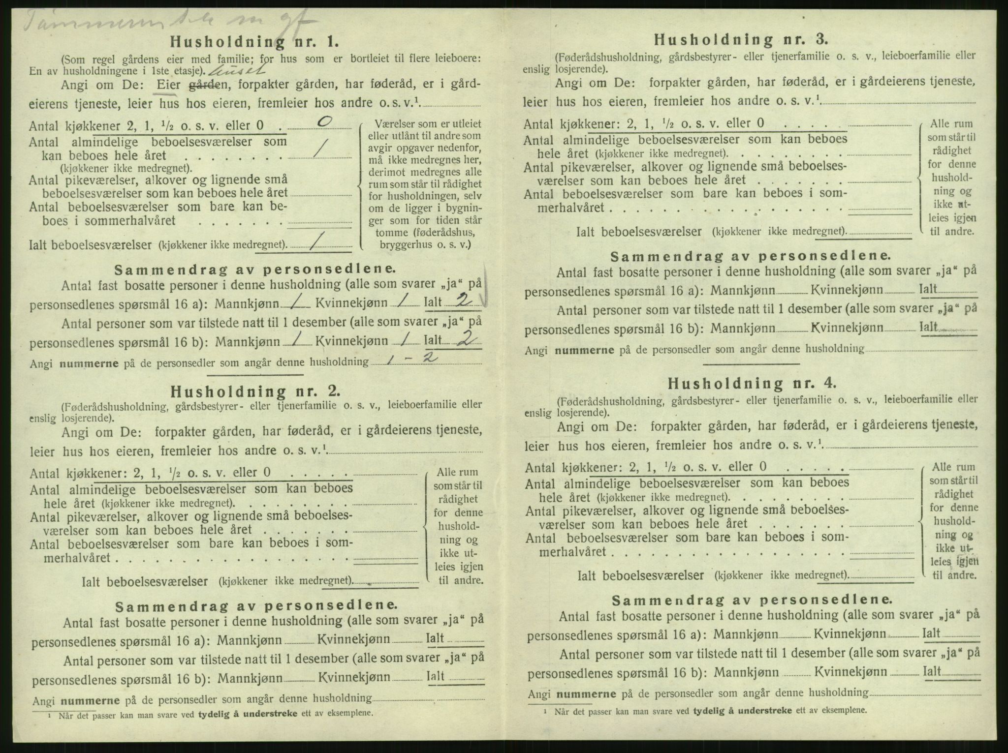 SAT, 1920 census for Vik, 1920, p. 252