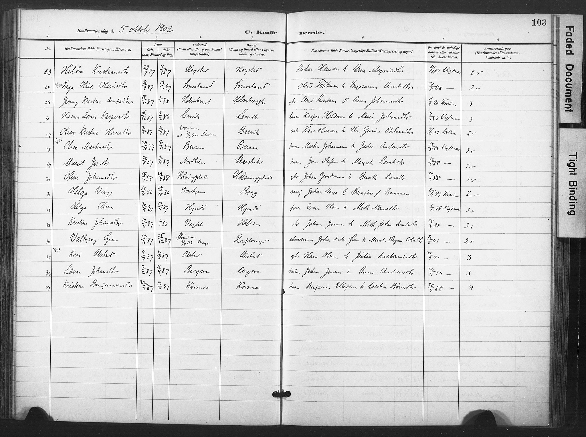 Ministerialprotokoller, klokkerbøker og fødselsregistre - Nord-Trøndelag, AV/SAT-A-1458/713/L0122: Parish register (official) no. 713A11, 1899-1910, p. 103