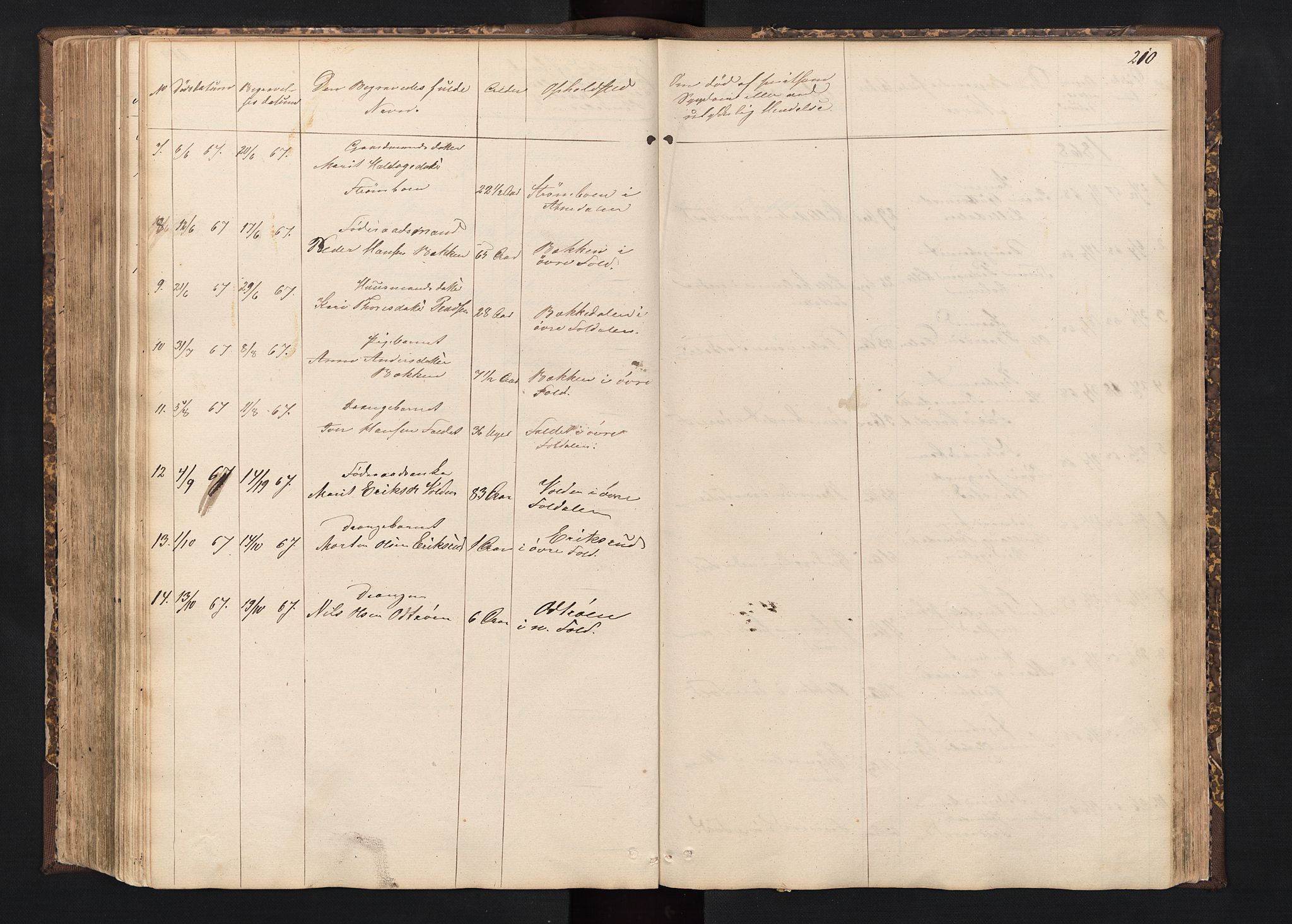 Alvdal prestekontor, SAH/PREST-060/H/Ha/Hab/L0001: Parish register (copy) no. 1, 1857-1893, p. 210