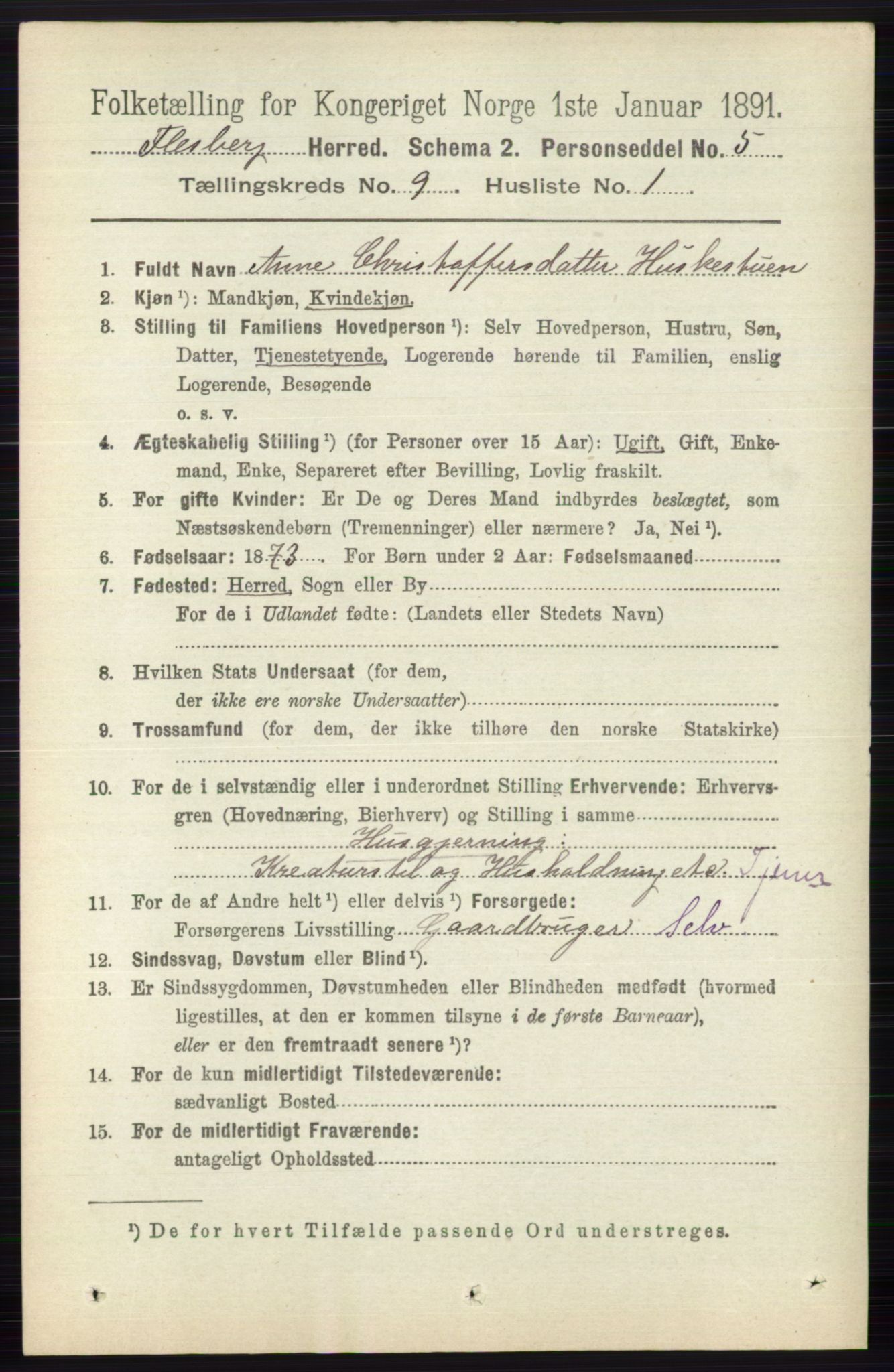 RA, 1891 census for 0631 Flesberg, 1891, p. 1531