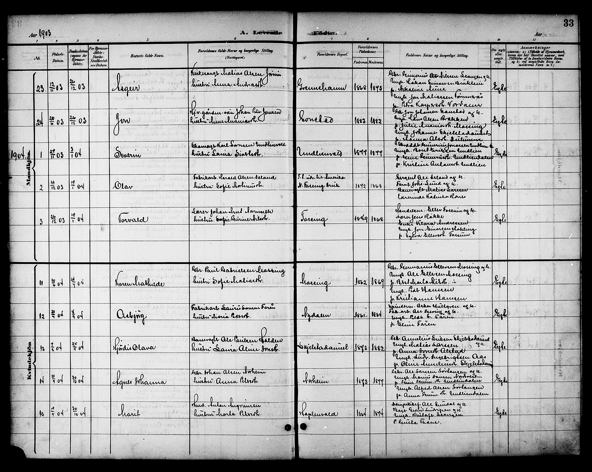 Ministerialprotokoller, klokkerbøker og fødselsregistre - Nord-Trøndelag, AV/SAT-A-1458/714/L0135: Parish register (copy) no. 714C04, 1899-1918, p. 33