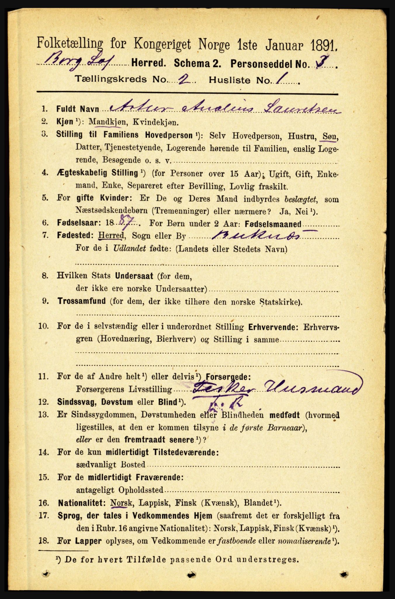 RA, 1891 census for 1862 Borge, 1891, p. 935