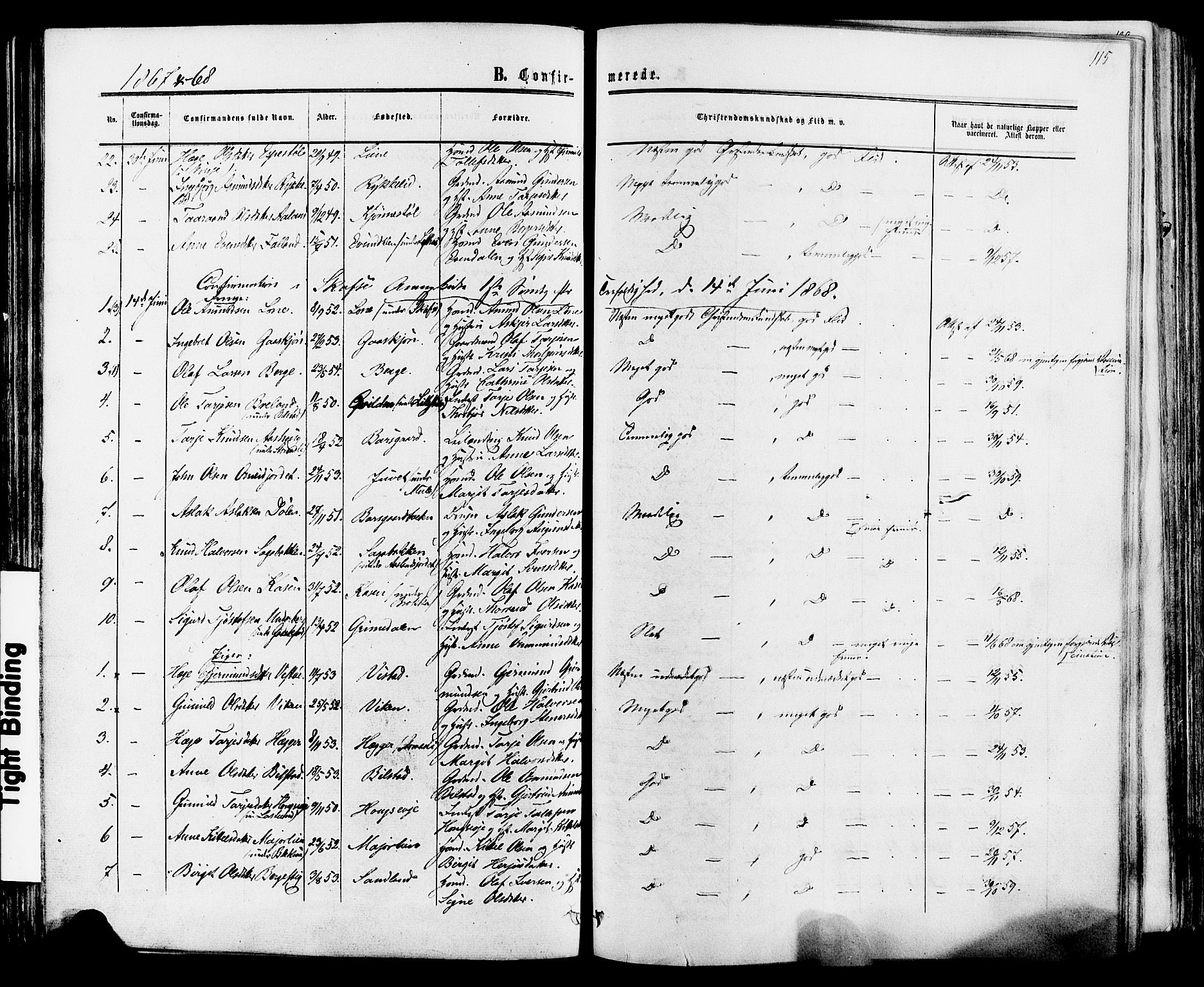 Mo kirkebøker, SAKO/A-286/F/Fa/L0006: Parish register (official) no. I 6, 1865-1885, p. 115