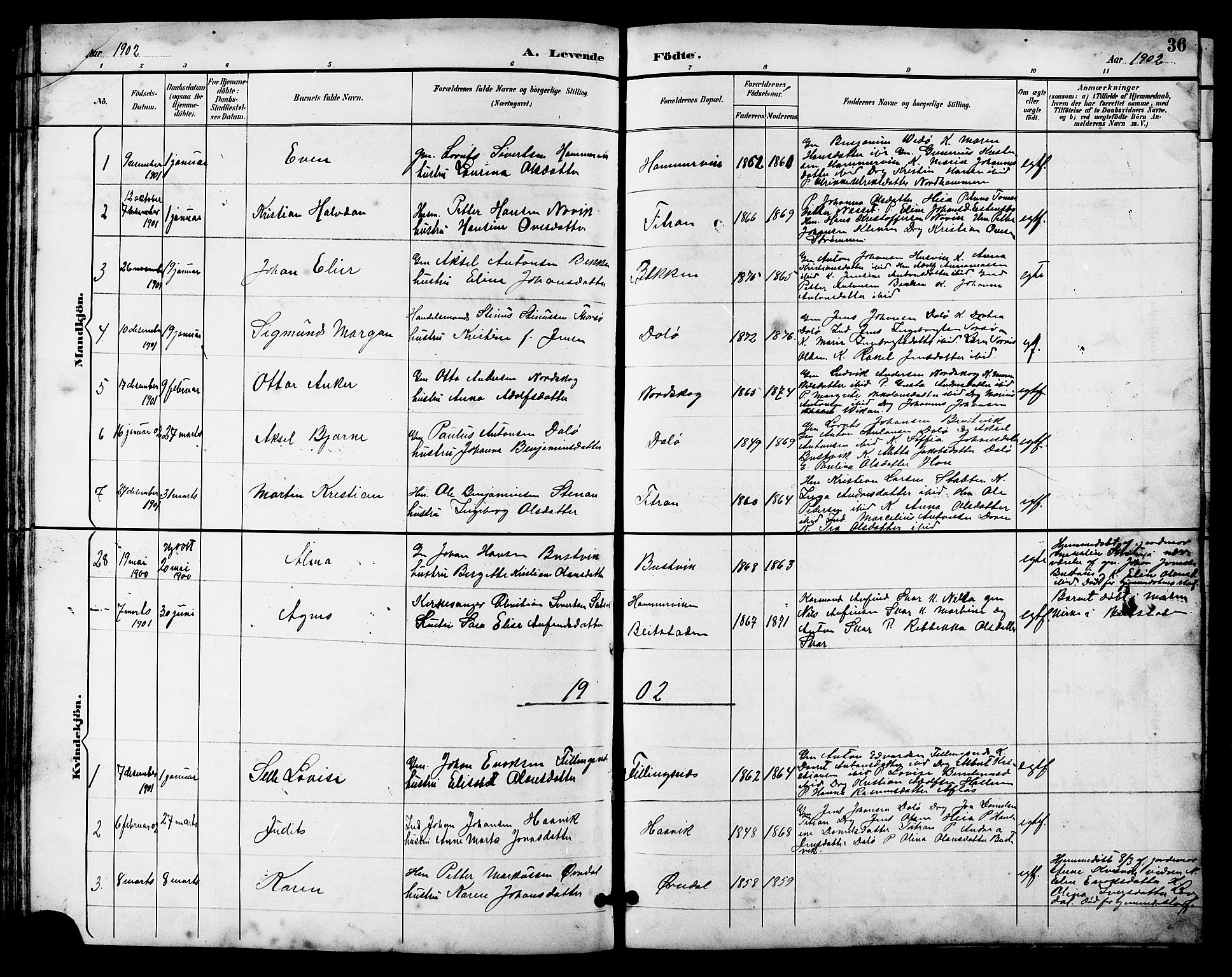 Ministerialprotokoller, klokkerbøker og fødselsregistre - Sør-Trøndelag, SAT/A-1456/641/L0598: Parish register (copy) no. 641C02, 1893-1910, p. 36