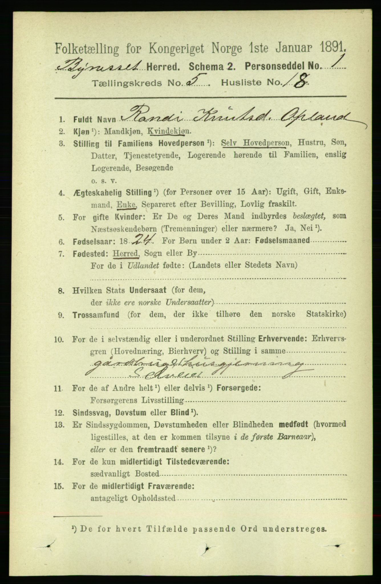 RA, 1891 census for 1655 Byneset, 1891, p. 2132