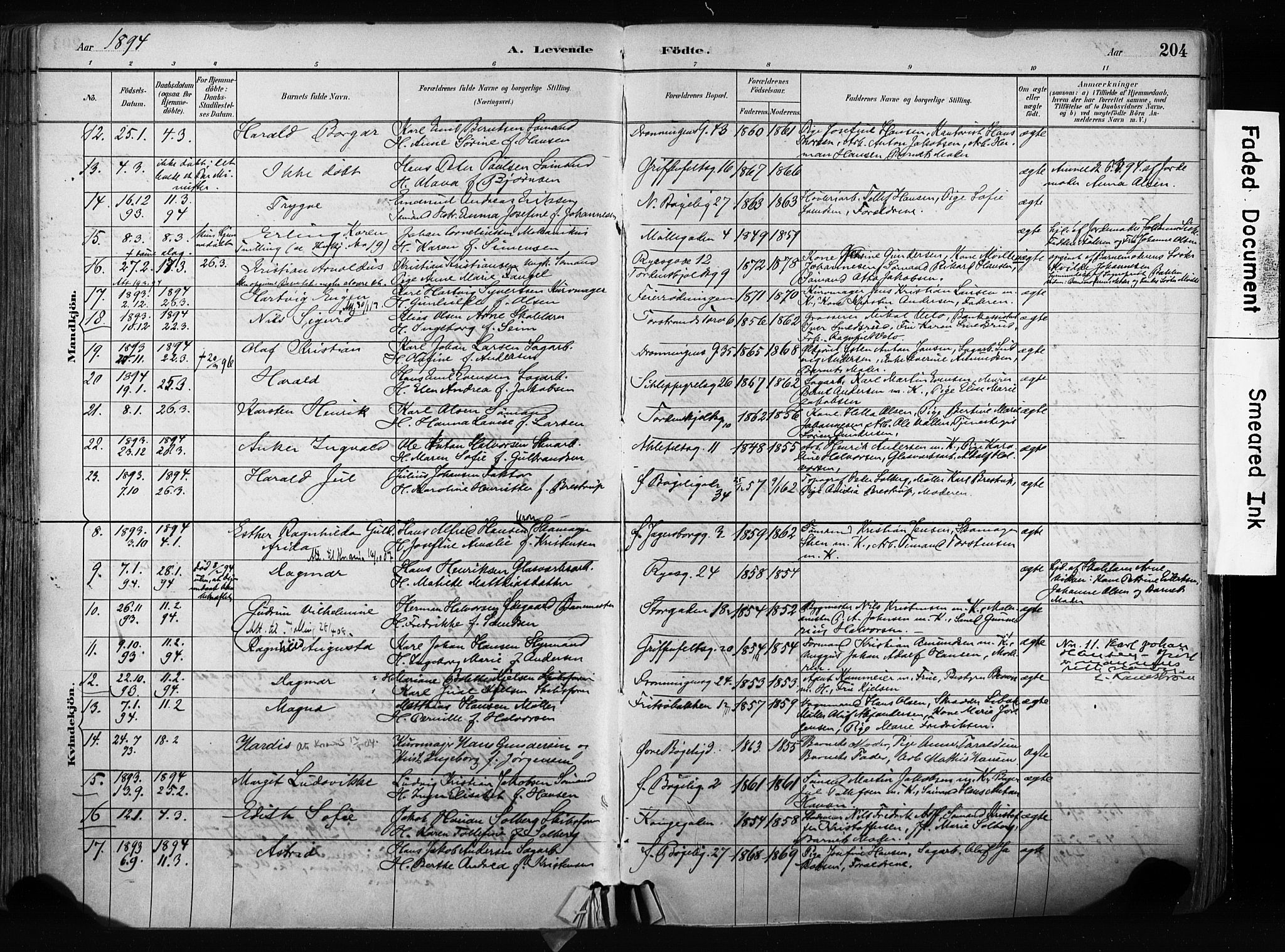 Larvik kirkebøker, AV/SAKO-A-352/F/Fa/L0009: Parish register (official) no. I 9, 1884-1904, p. 204