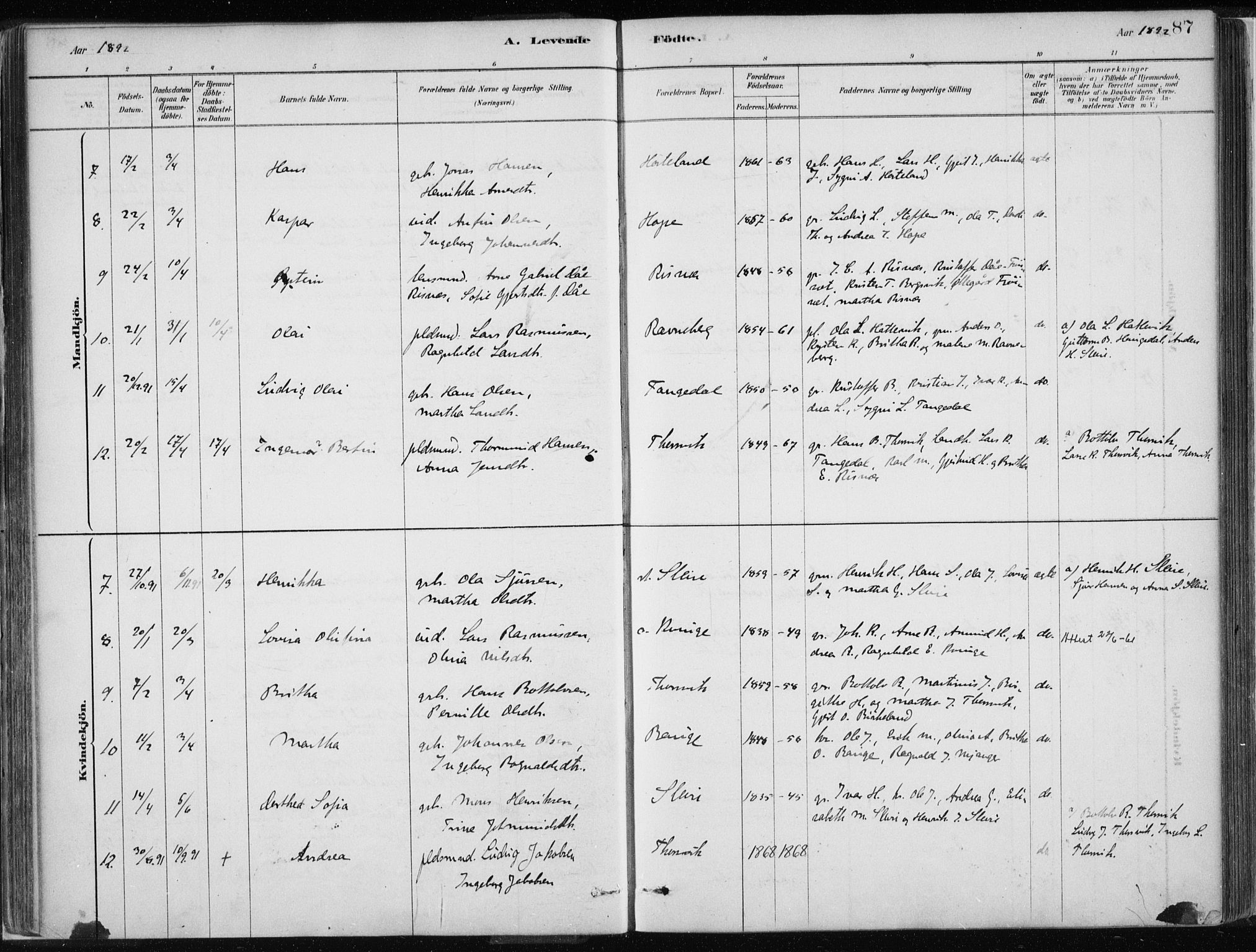 Masfjorden Sokneprestembete, SAB/A-77001: Parish register (official) no. B  1, 1876-1899, p. 87