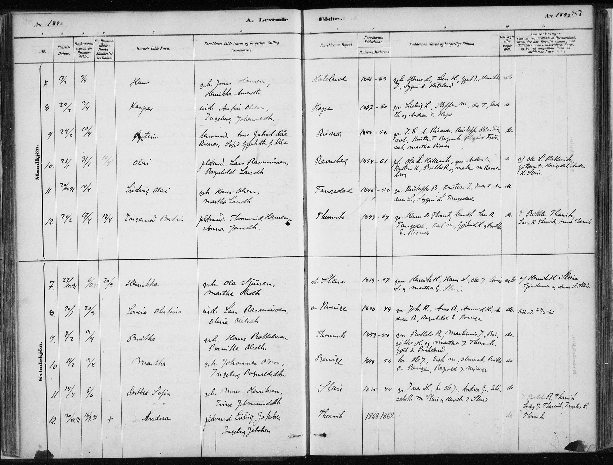 Masfjorden Sokneprestembete, AV/SAB-A-77001: Parish register (official) no. B  1, 1876-1899, p. 87