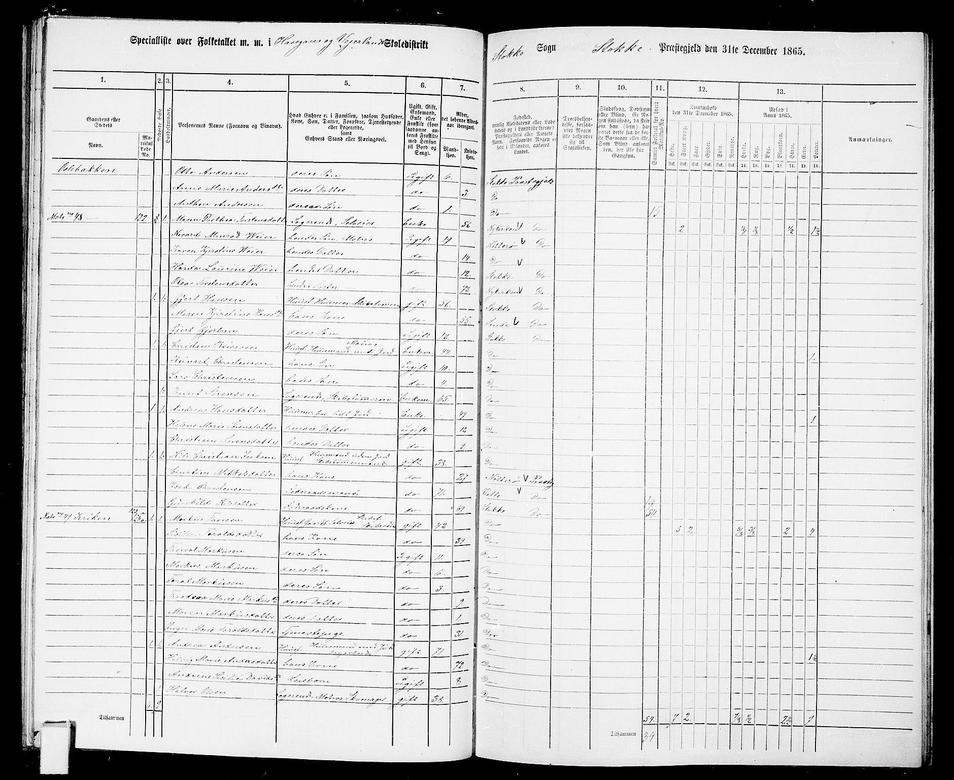 RA, 1865 census for Stokke, 1865, p. 98