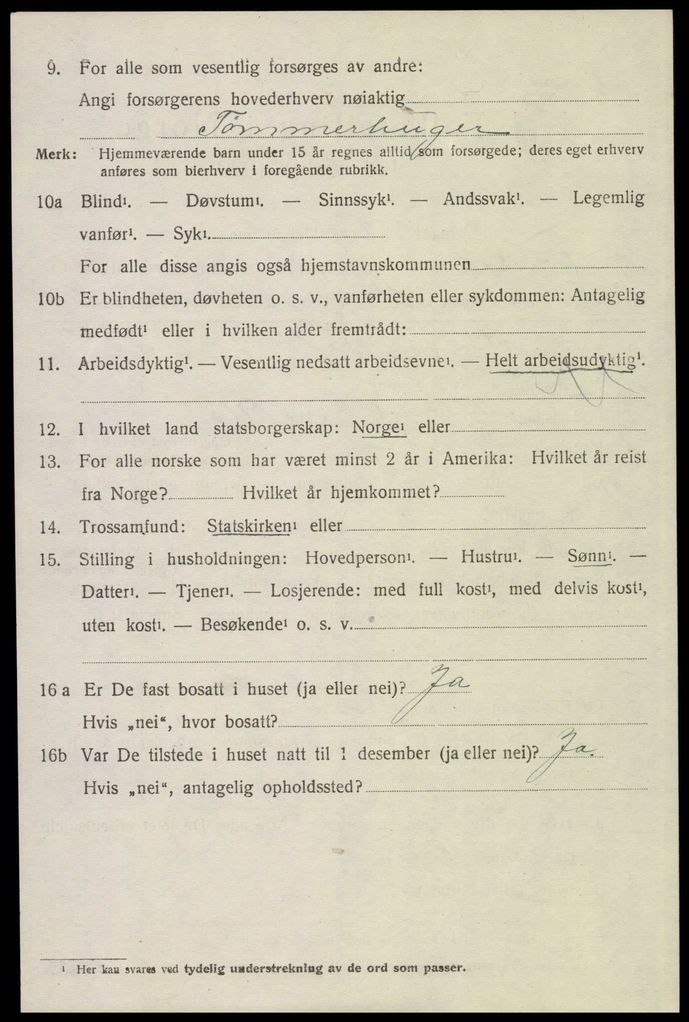 SAH, 1920 census for Trysil, 1920, p. 13052