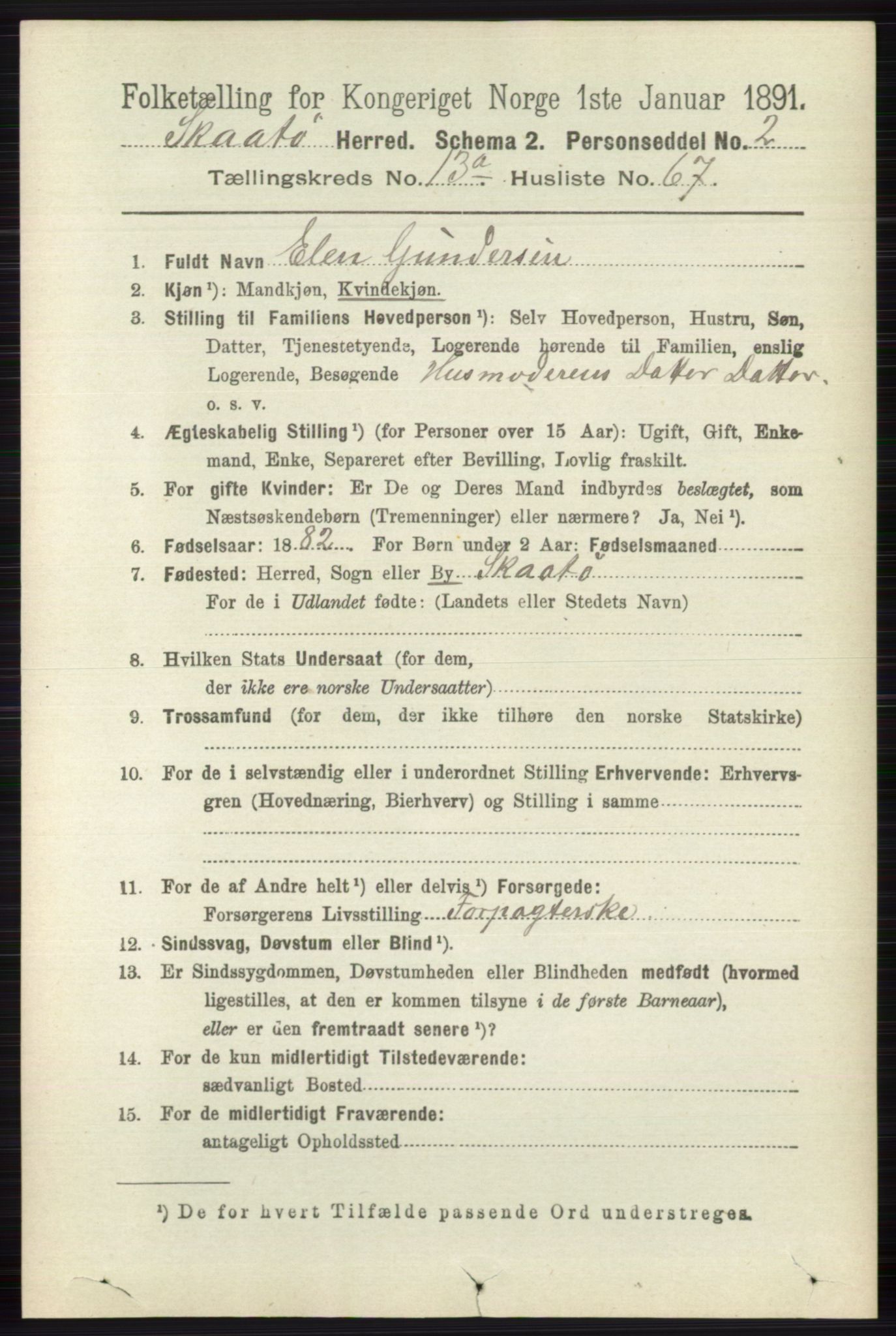 RA, 1891 census for 0815 Skåtøy, 1891, p. 4799