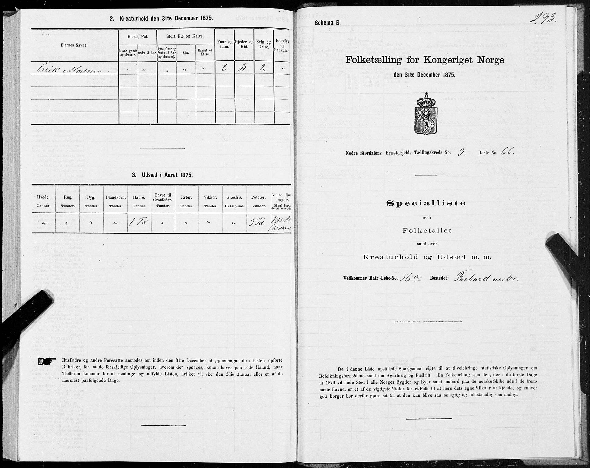 SAT, 1875 census for 1714P Nedre Stjørdal, 1875, p. 1293