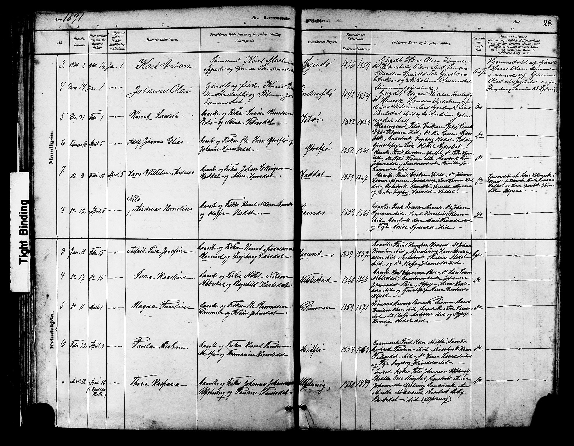 Ministerialprotokoller, klokkerbøker og fødselsregistre - Møre og Romsdal, SAT/A-1454/509/L0112: Parish register (copy) no. 509C02, 1883-1922, p. 28