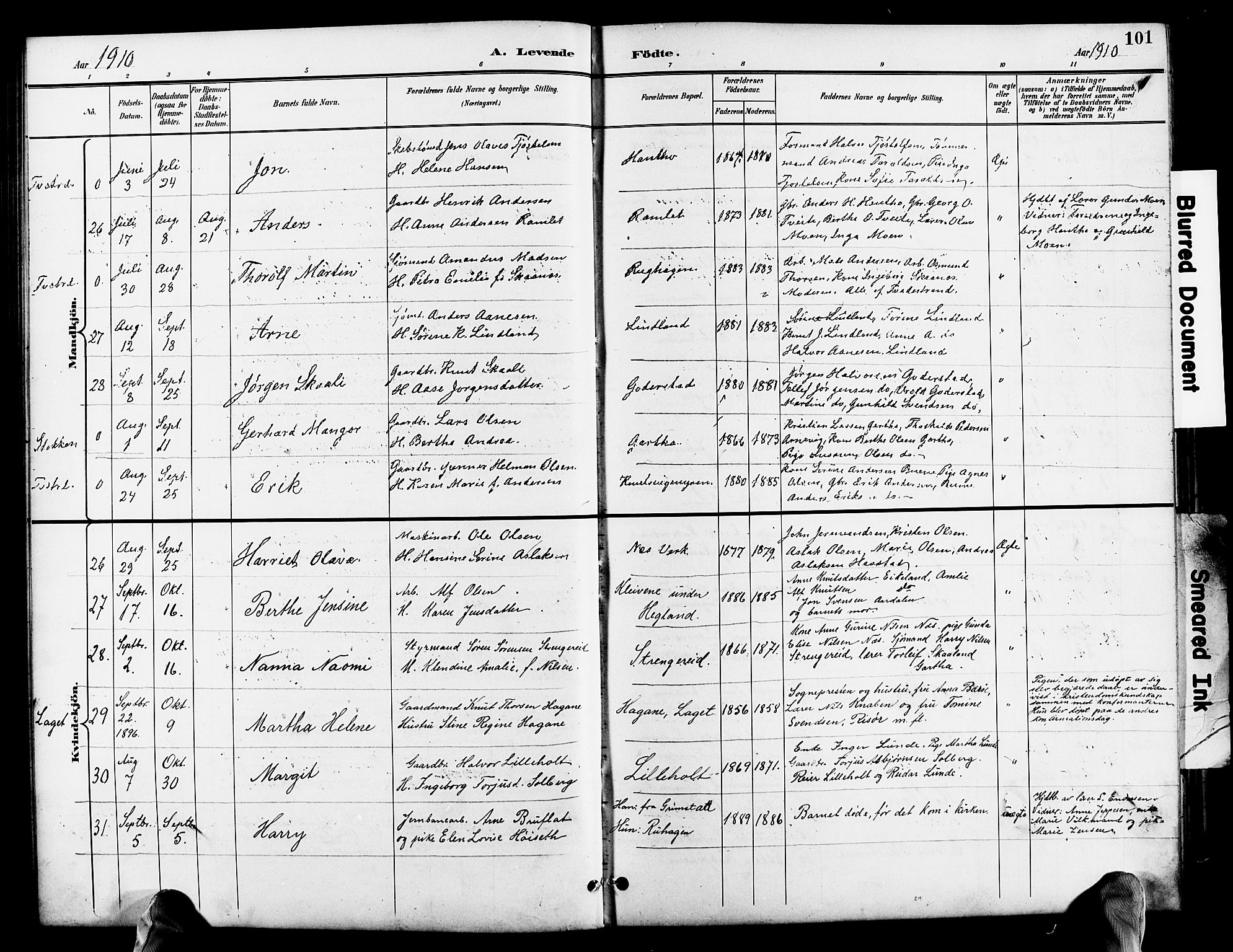 Holt sokneprestkontor, AV/SAK-1111-0021/F/Fb/L0011: Parish register (copy) no. B 11, 1897-1921, p. 101